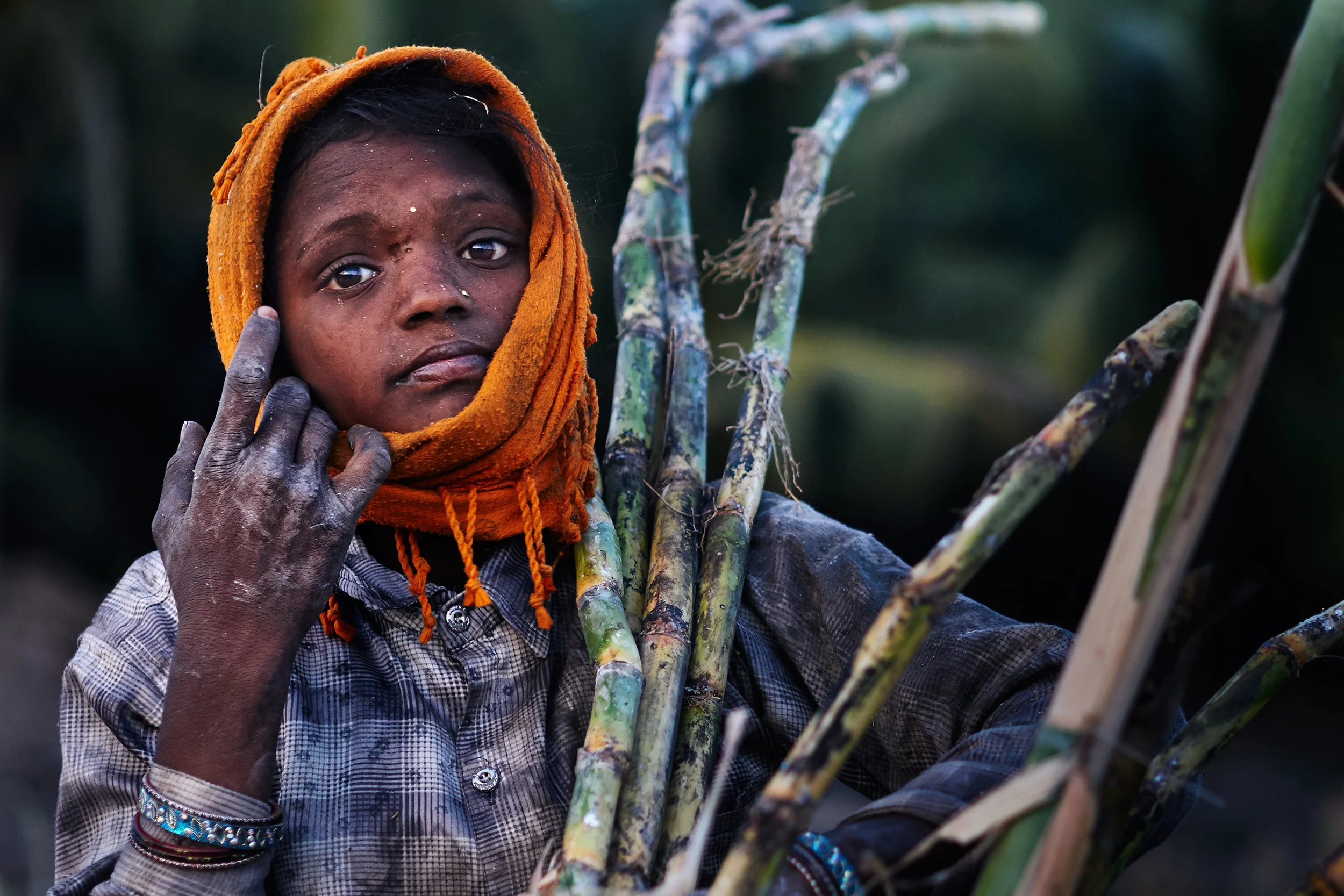 On sugar & story-telling