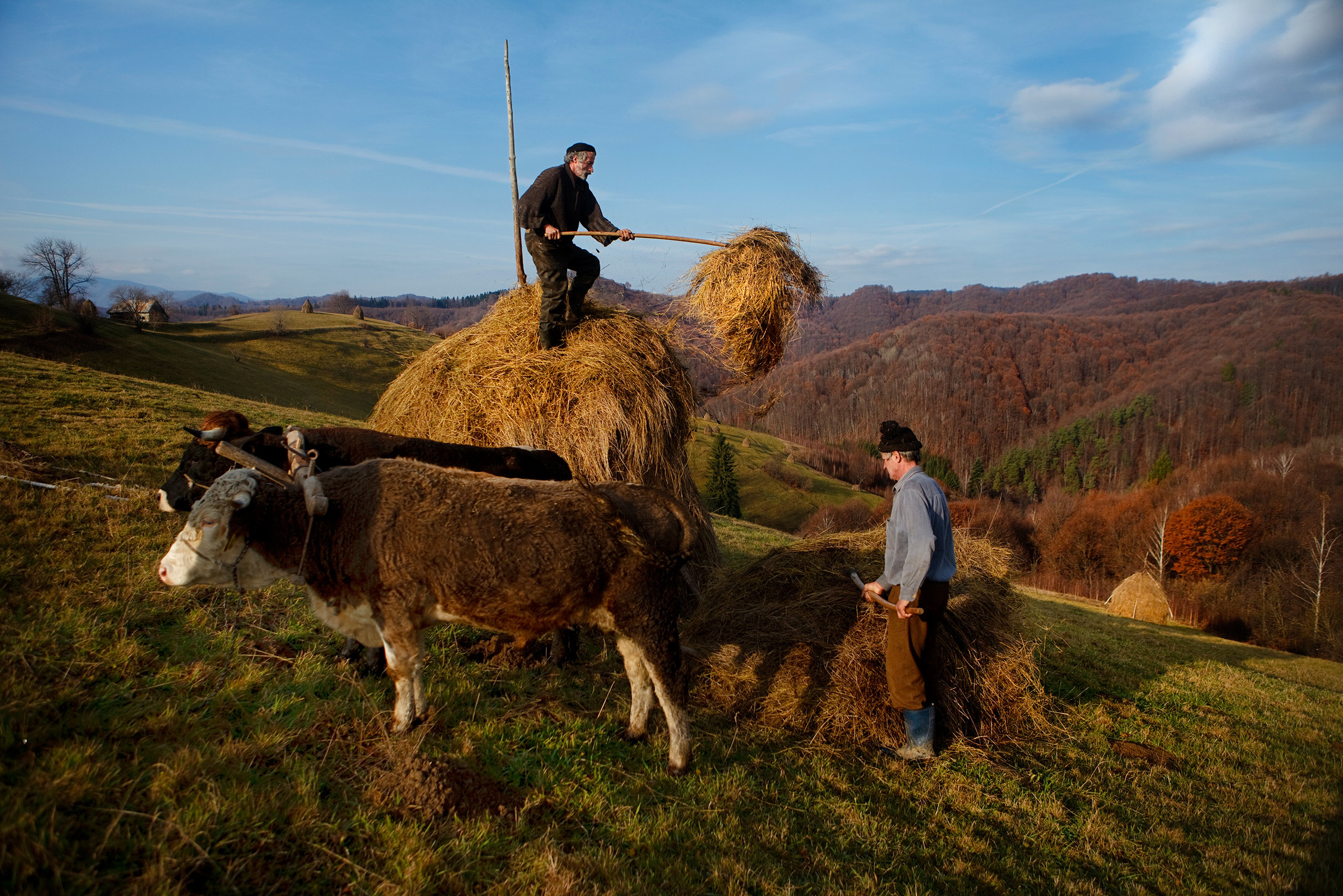 Маде румыния. Mitchell Kanashkevich.. Як и человек. Romanian people. Somewhere in Romania.