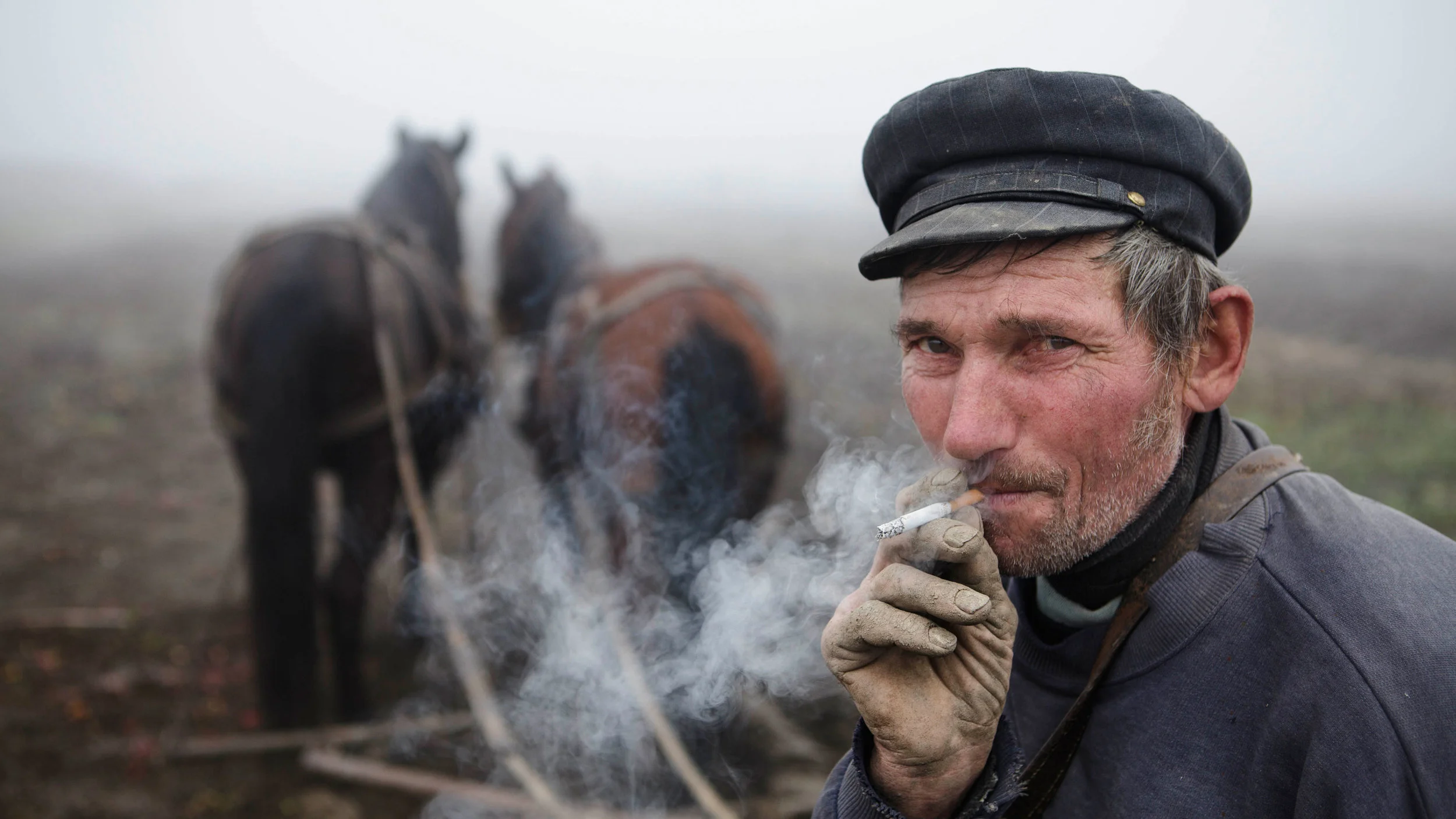 The Farmer In The  Fog - Promo