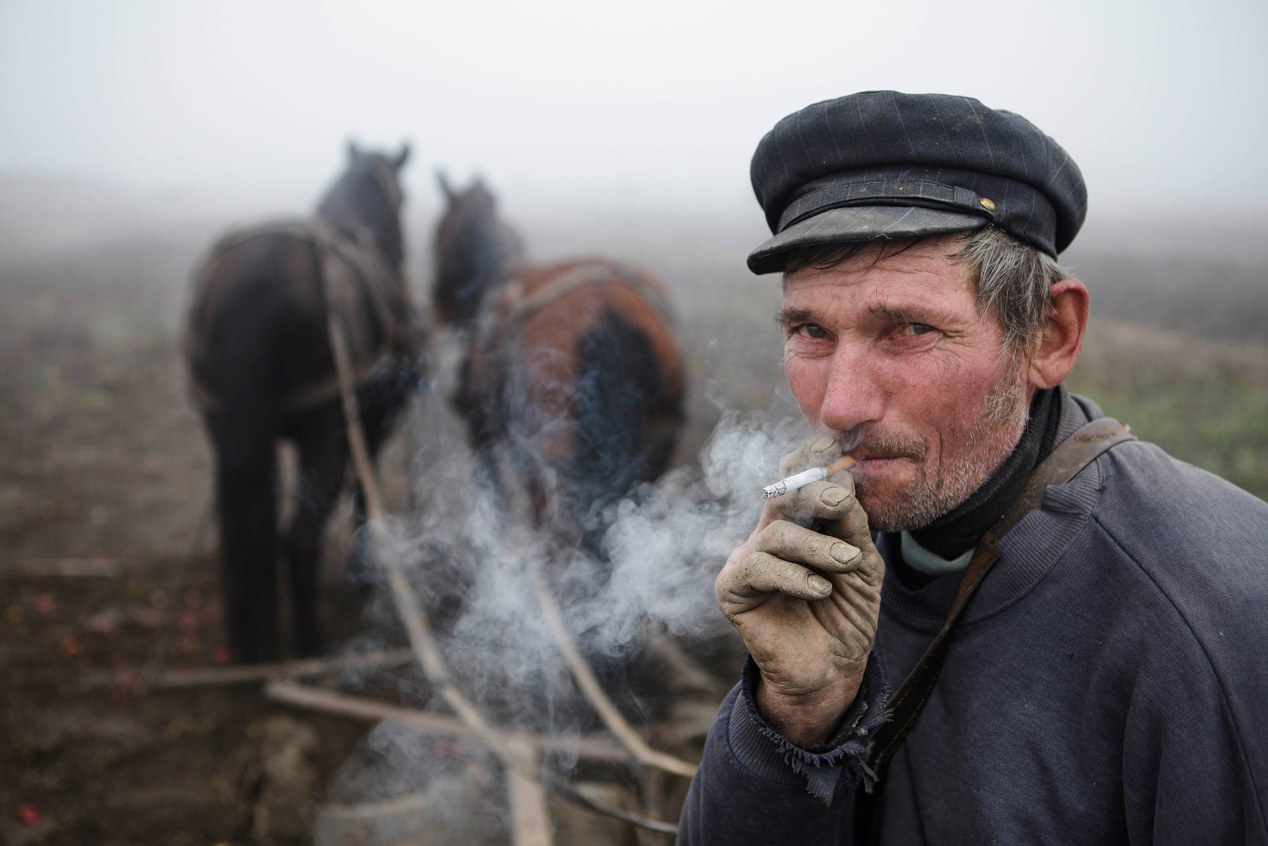 Romanian-farmer.jpg