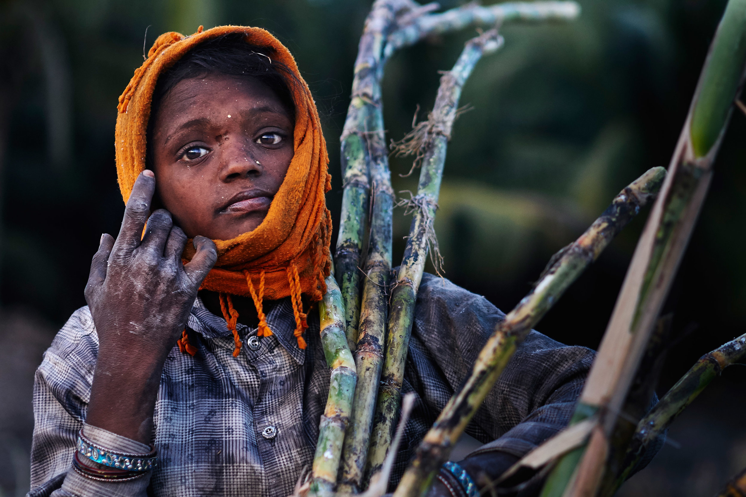 Girl at the sugarcane plantation - On visual cues from "The Farmer In The Fog"