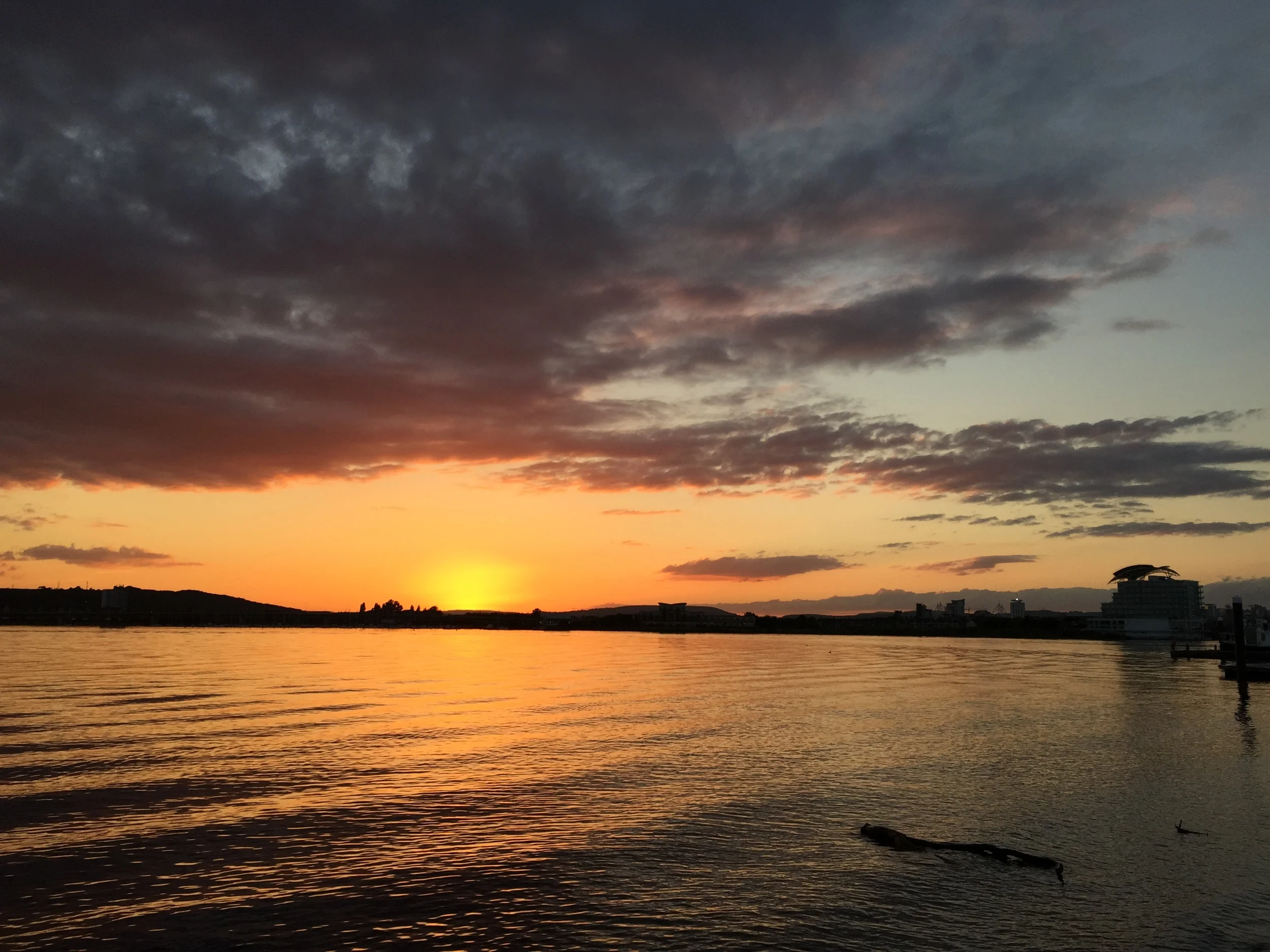 iPhone 6 - Photo 07-06-2015, 21 19 23.jpg