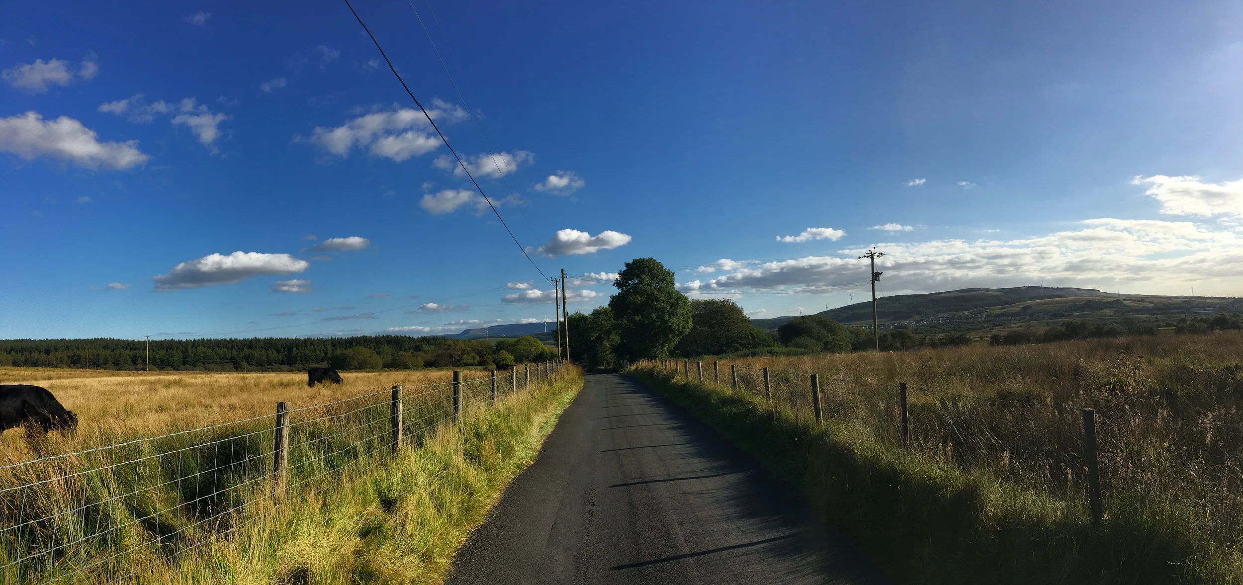 iPhone 6s - Photo 26-09-2015, 16 39 02.jpg