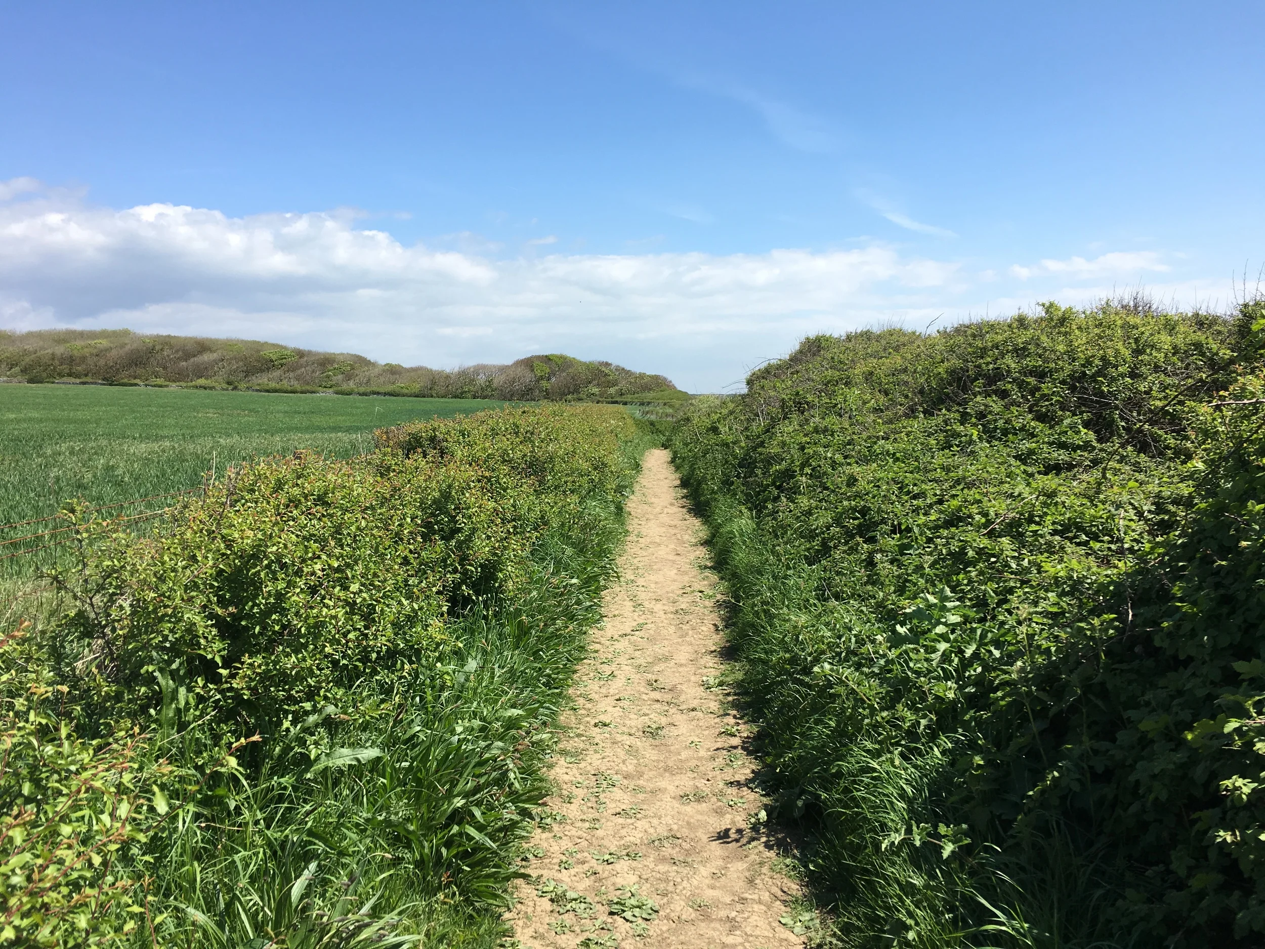 Nash Point 4