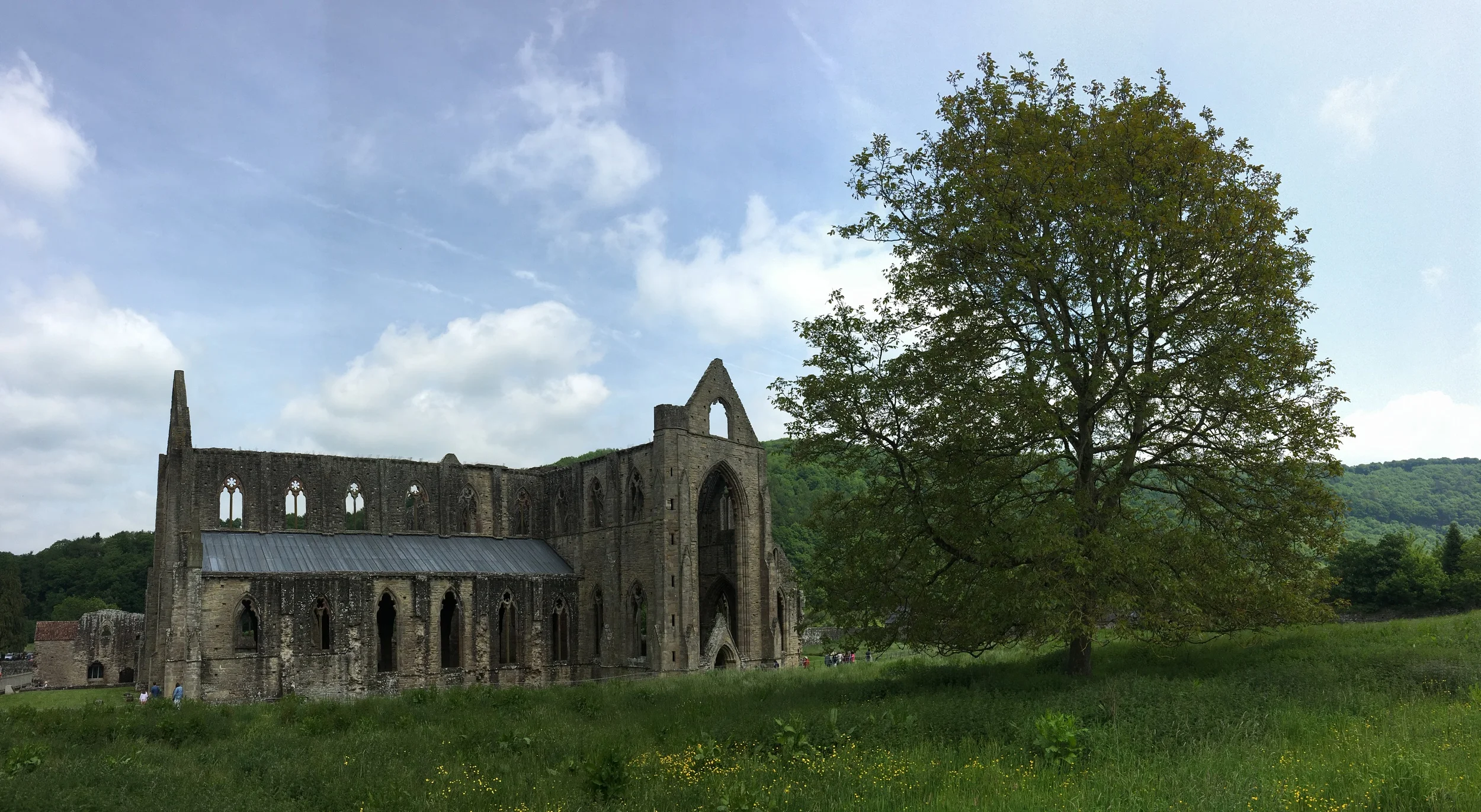 Tintern Abbey 10