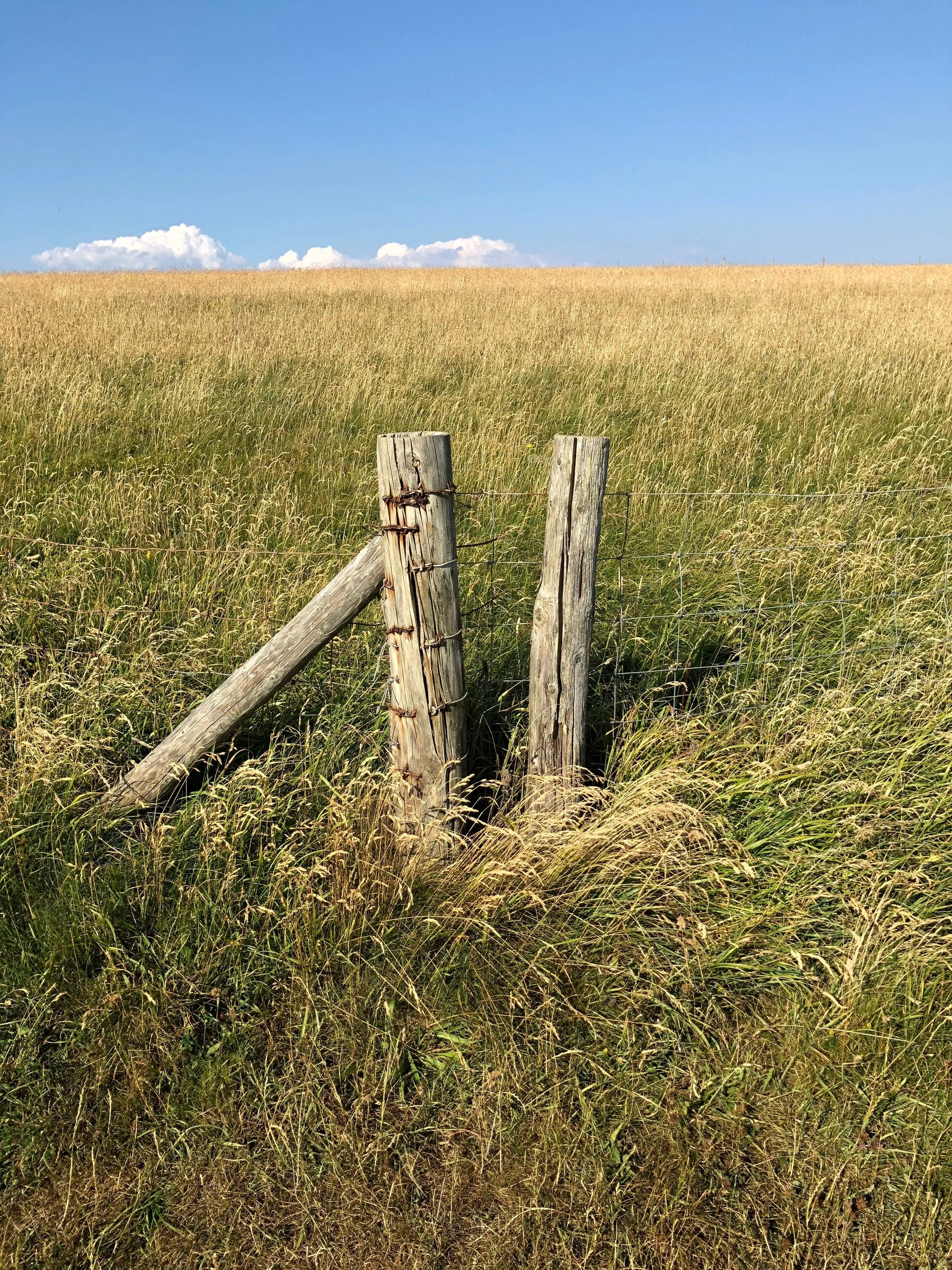 Between Dunraven Bay and Monknash Beach, Wales, July 2018