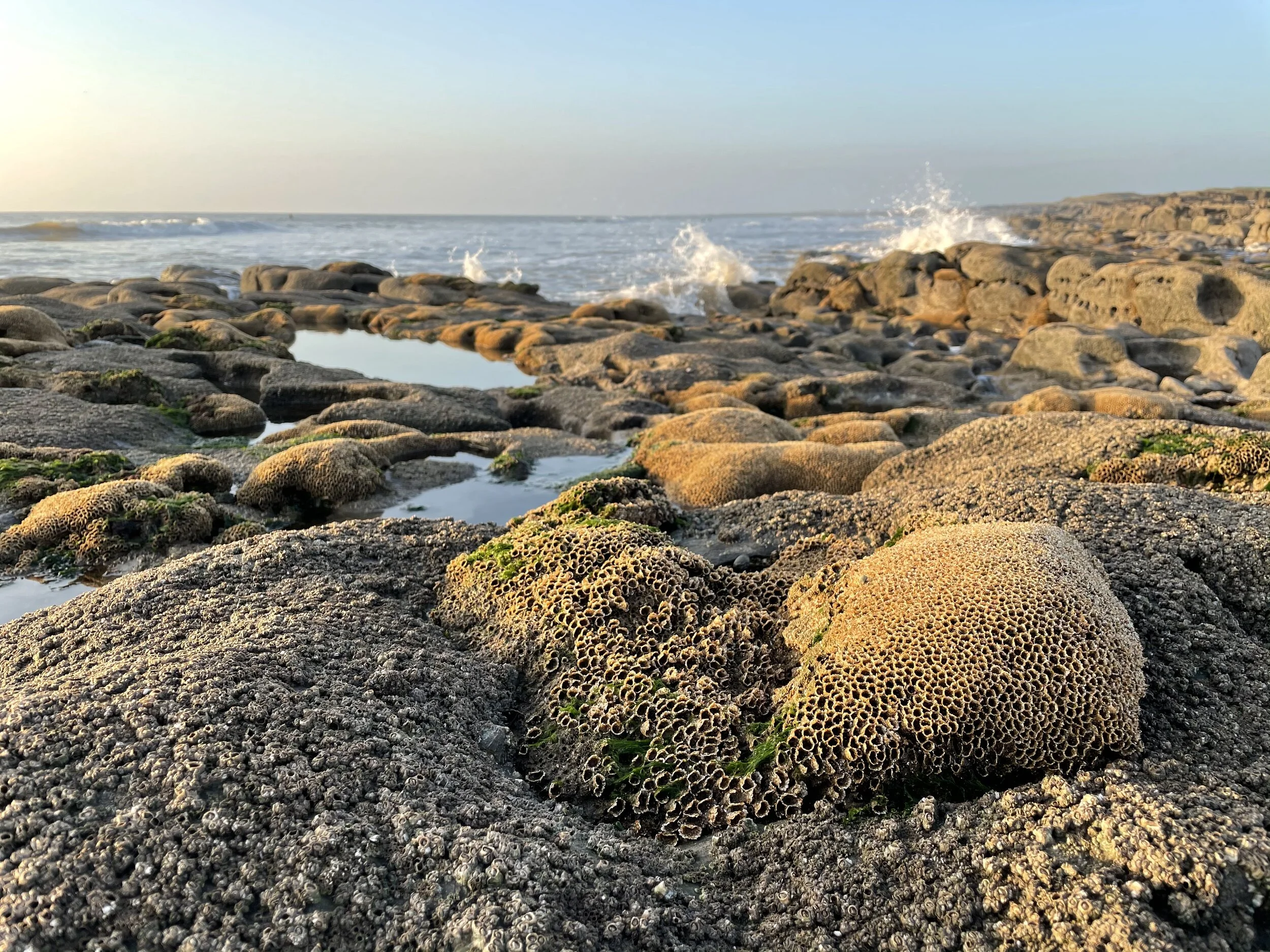 Sunset at Porthcawl beach #3 (2020/11/29)