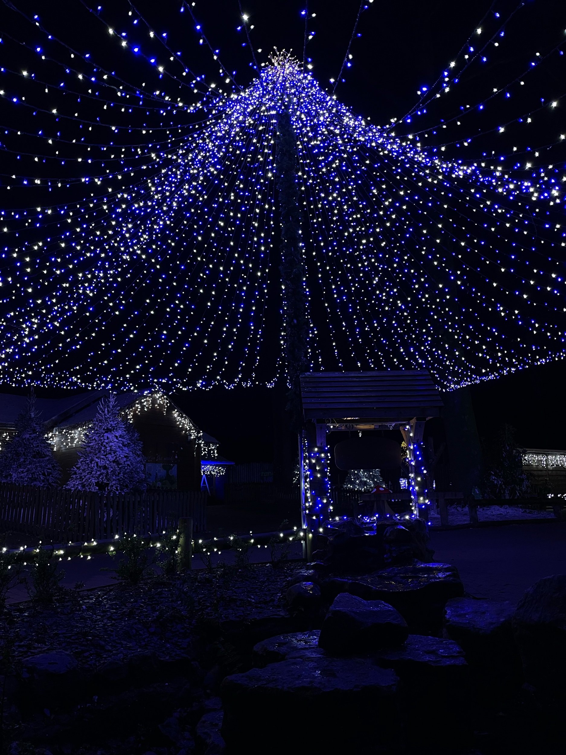 Center Parcs, February 2022