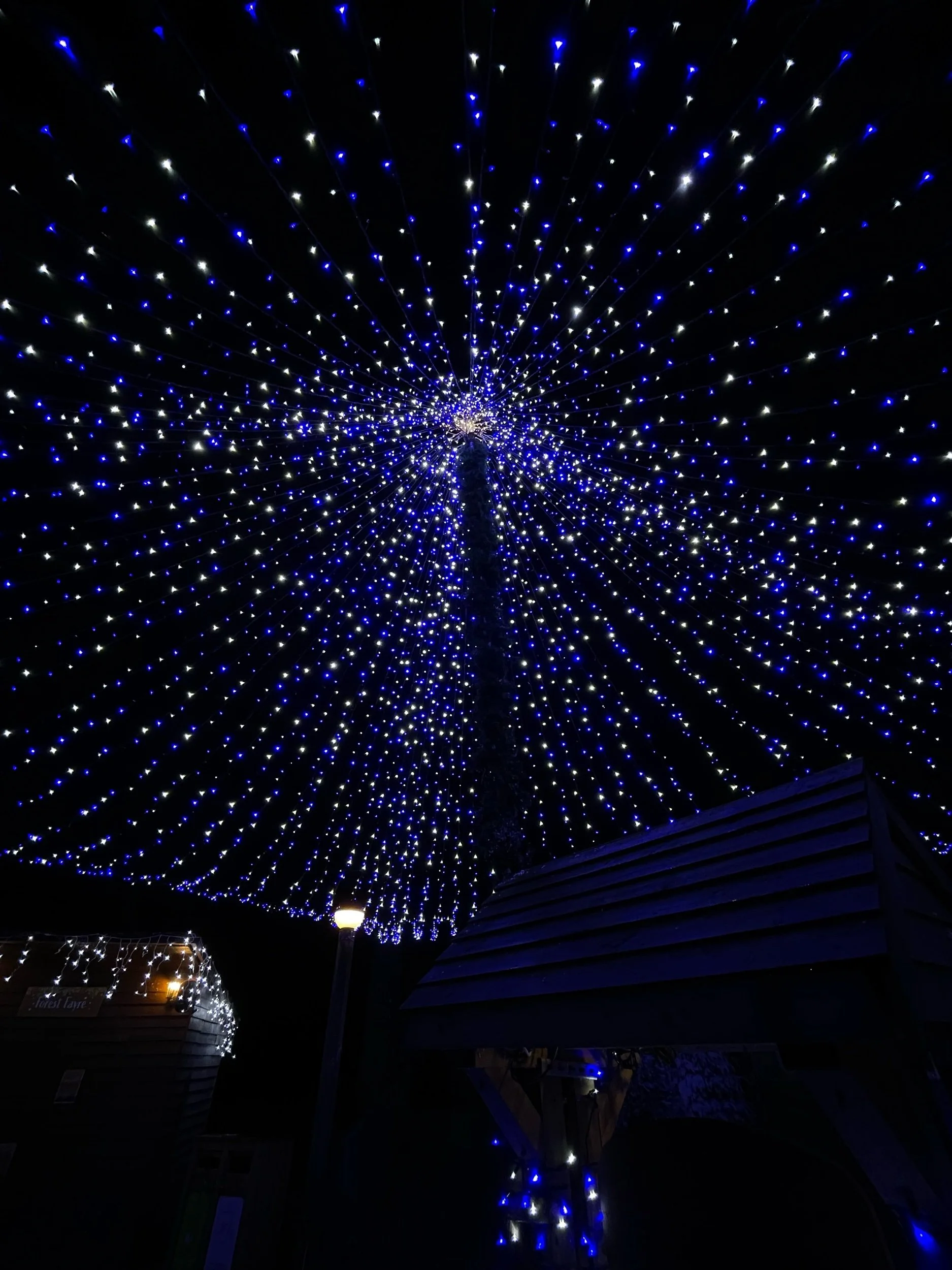 Center Parcs, February 2022