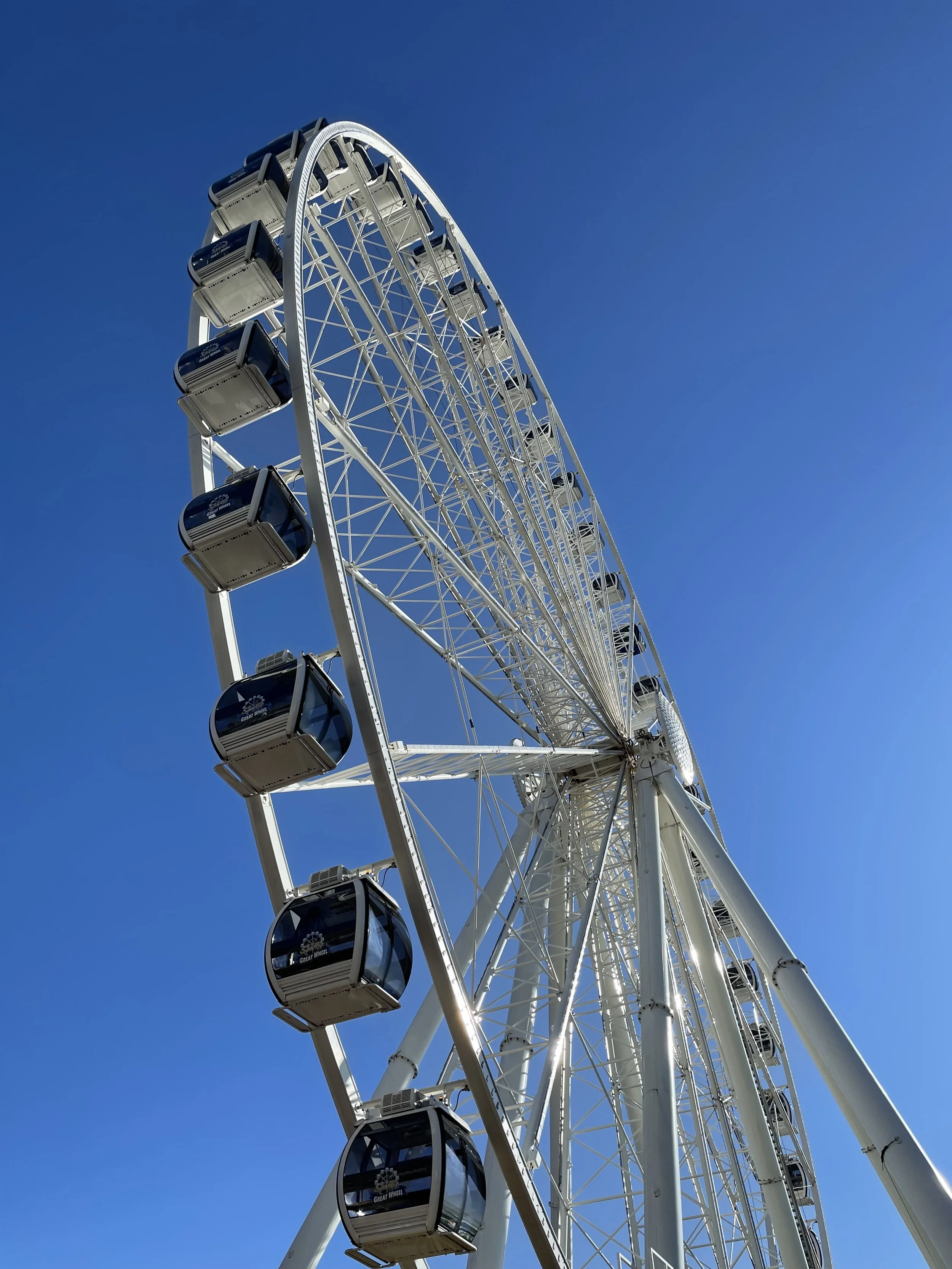 Seattle Great Wheel, Seattle, July 2022