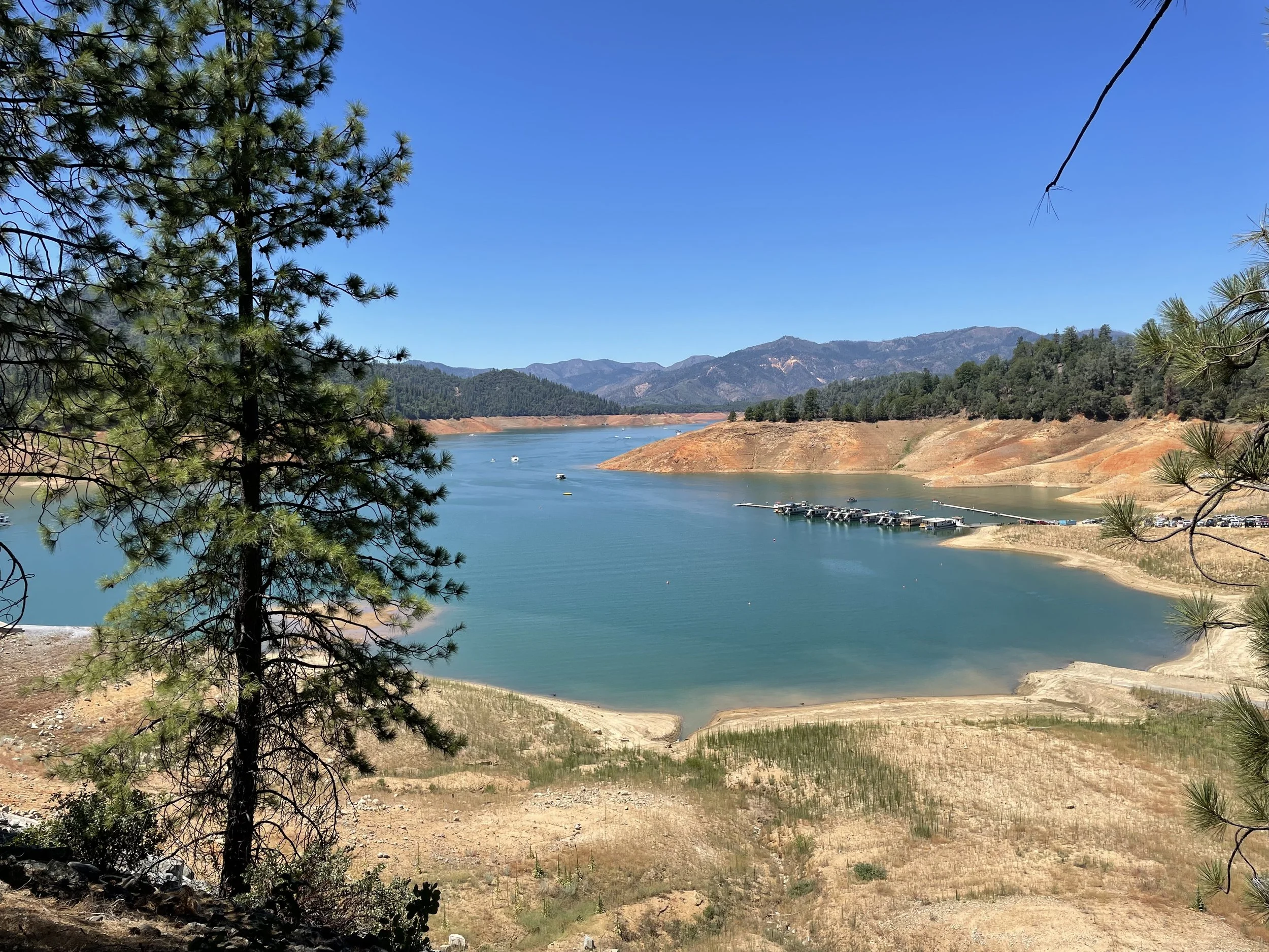 Bridge Bay, Redding, California, July 2022