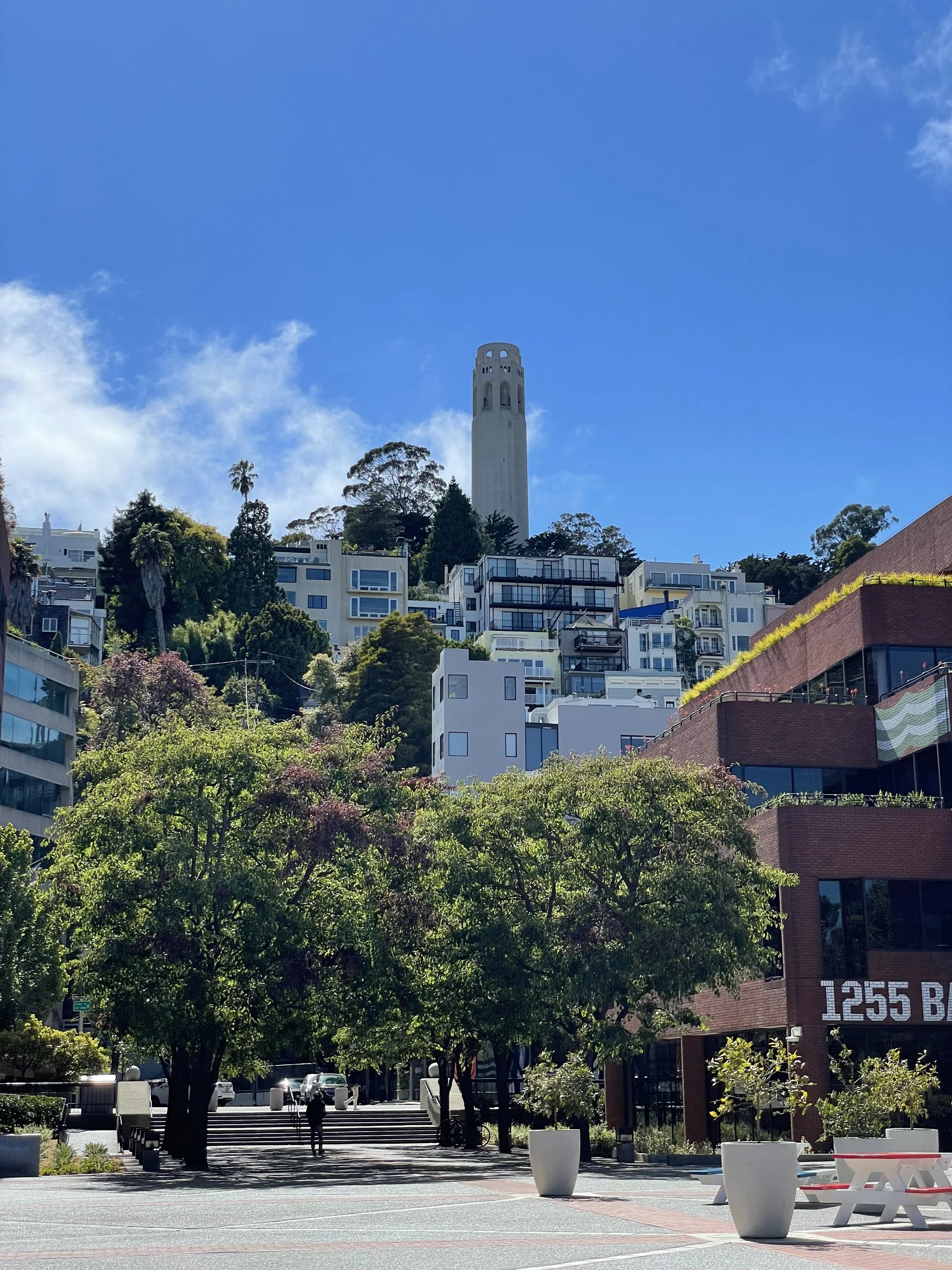Coit Tower, San Francisco, July 2022