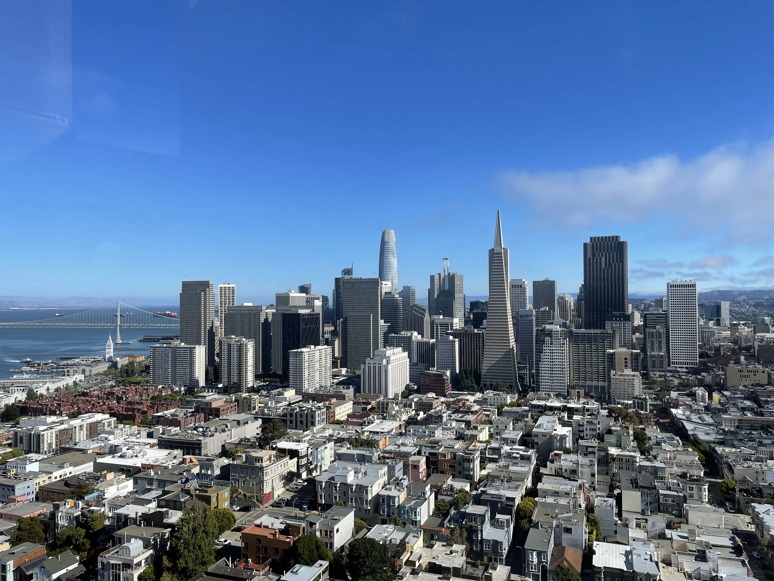 View from Coit Tower, San Francisco, July 2022