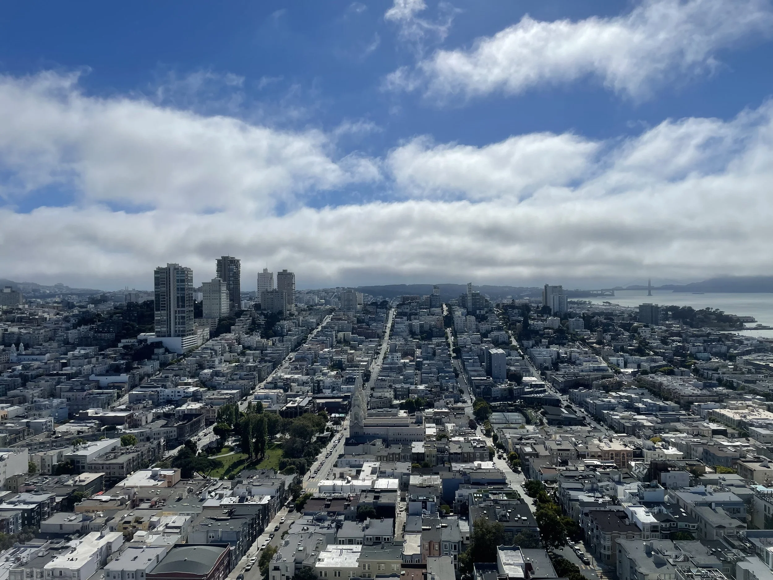 View from Coit Tower, San Francisco, July 2022