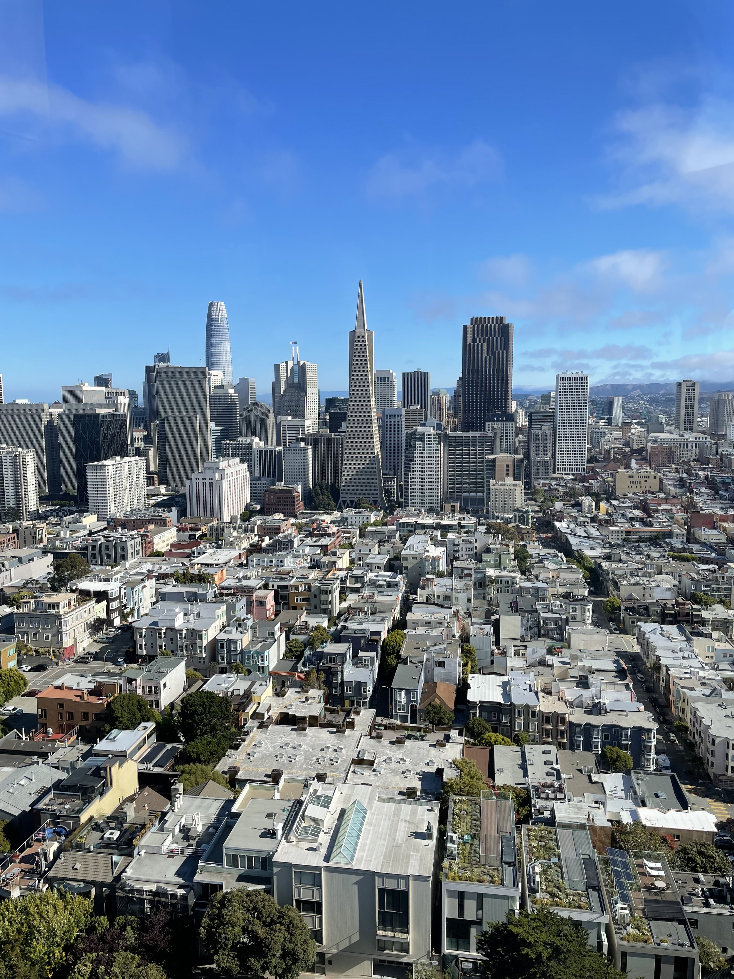 View from Coit Tower, San Francisco, July 2022