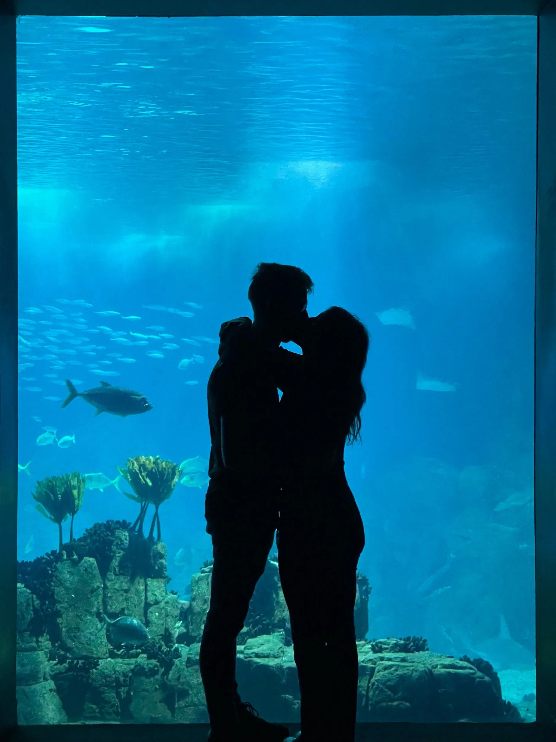 Aquarium of Lisbon, Portugal, December 2022