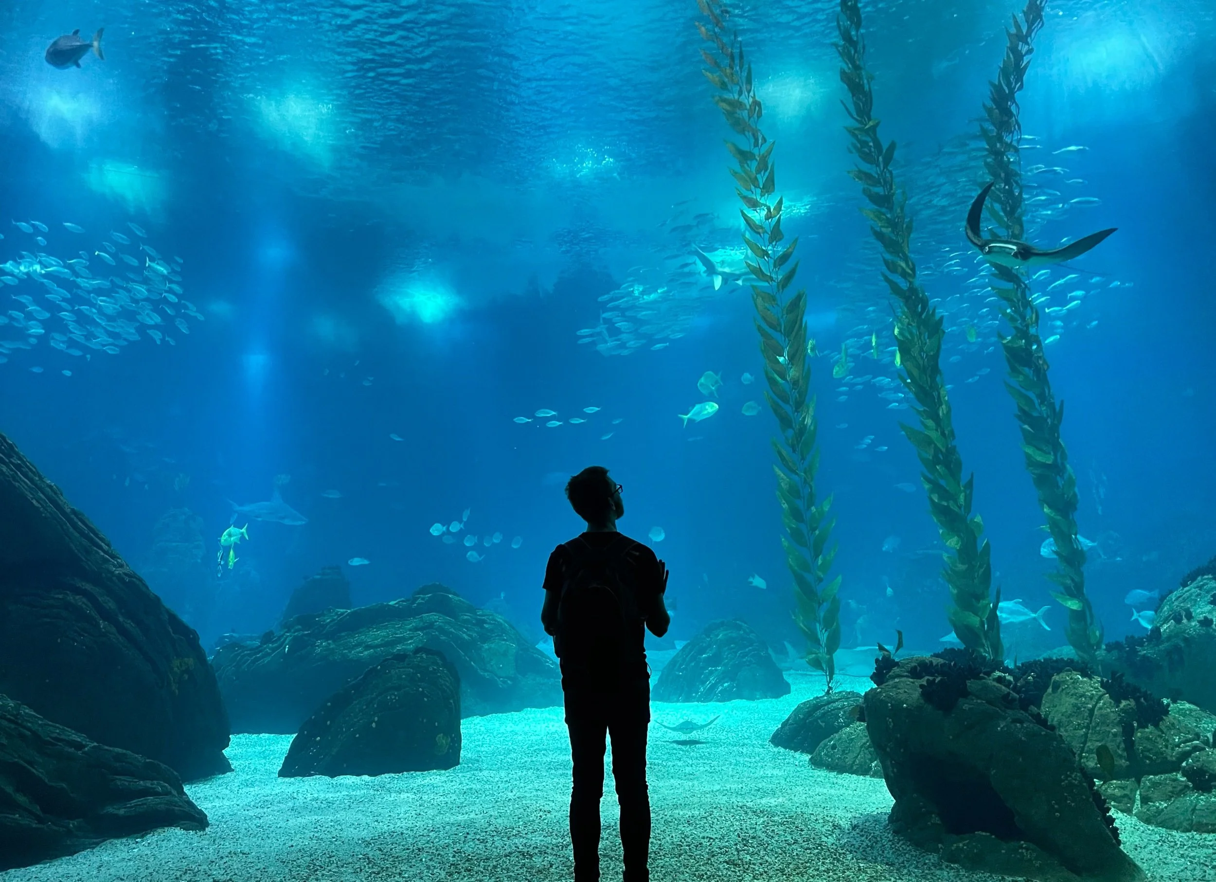 Aquarium of Lisbon, Portugal, December 2022