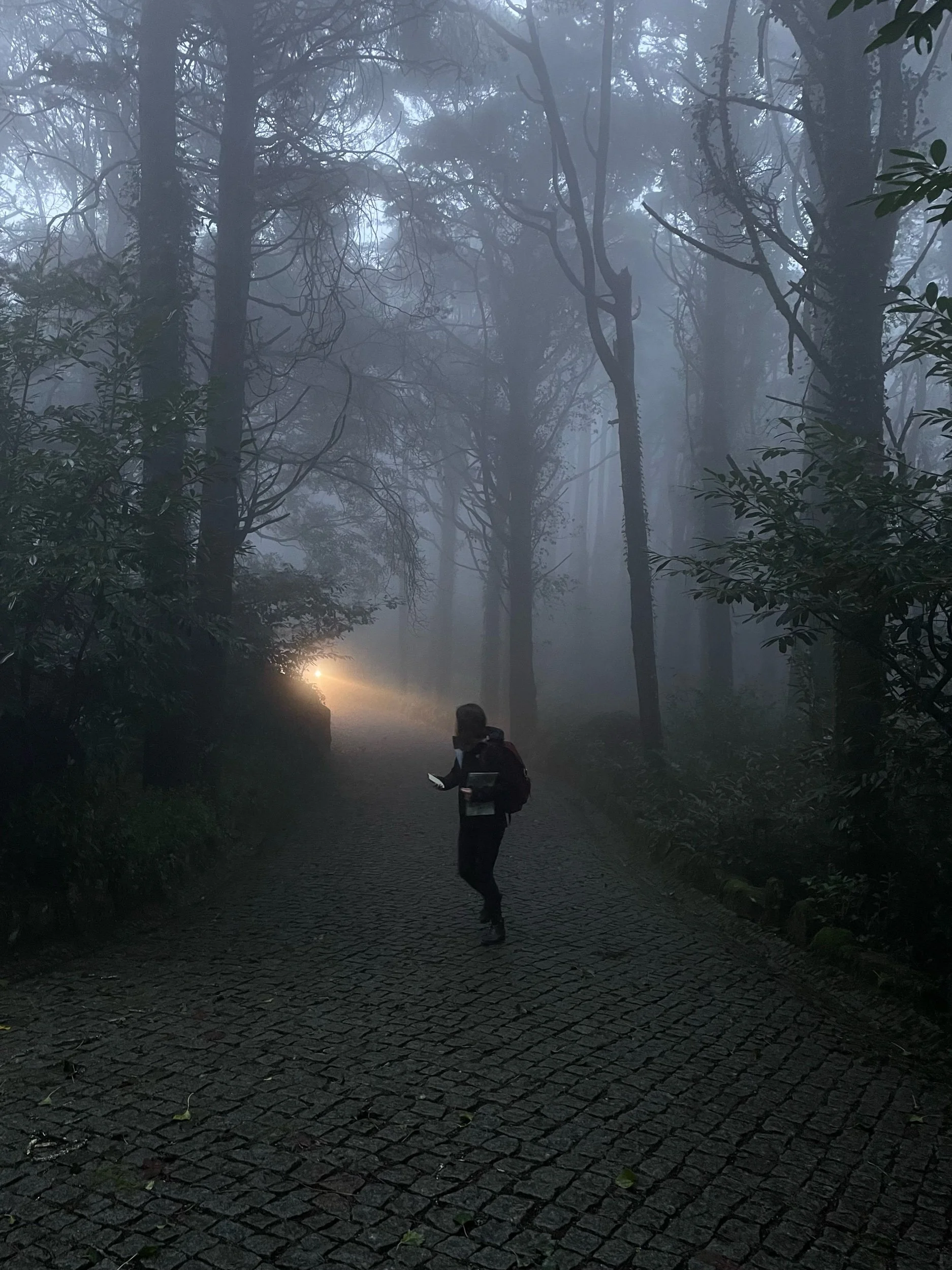 Climb to High Cross, Sintra, Portugal, December 2022