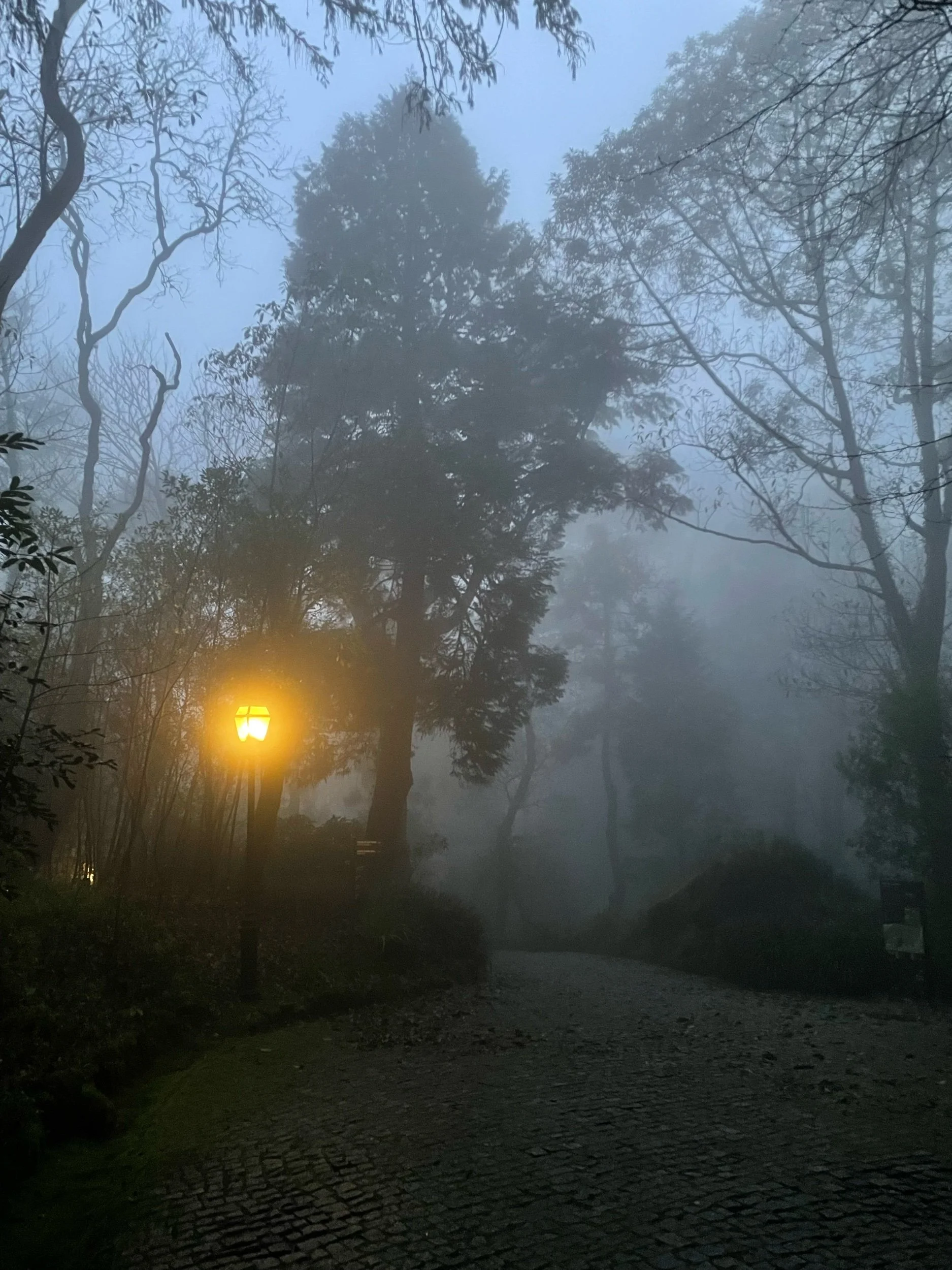 Climb to High Cross, Sintra, Portugal, December 2022