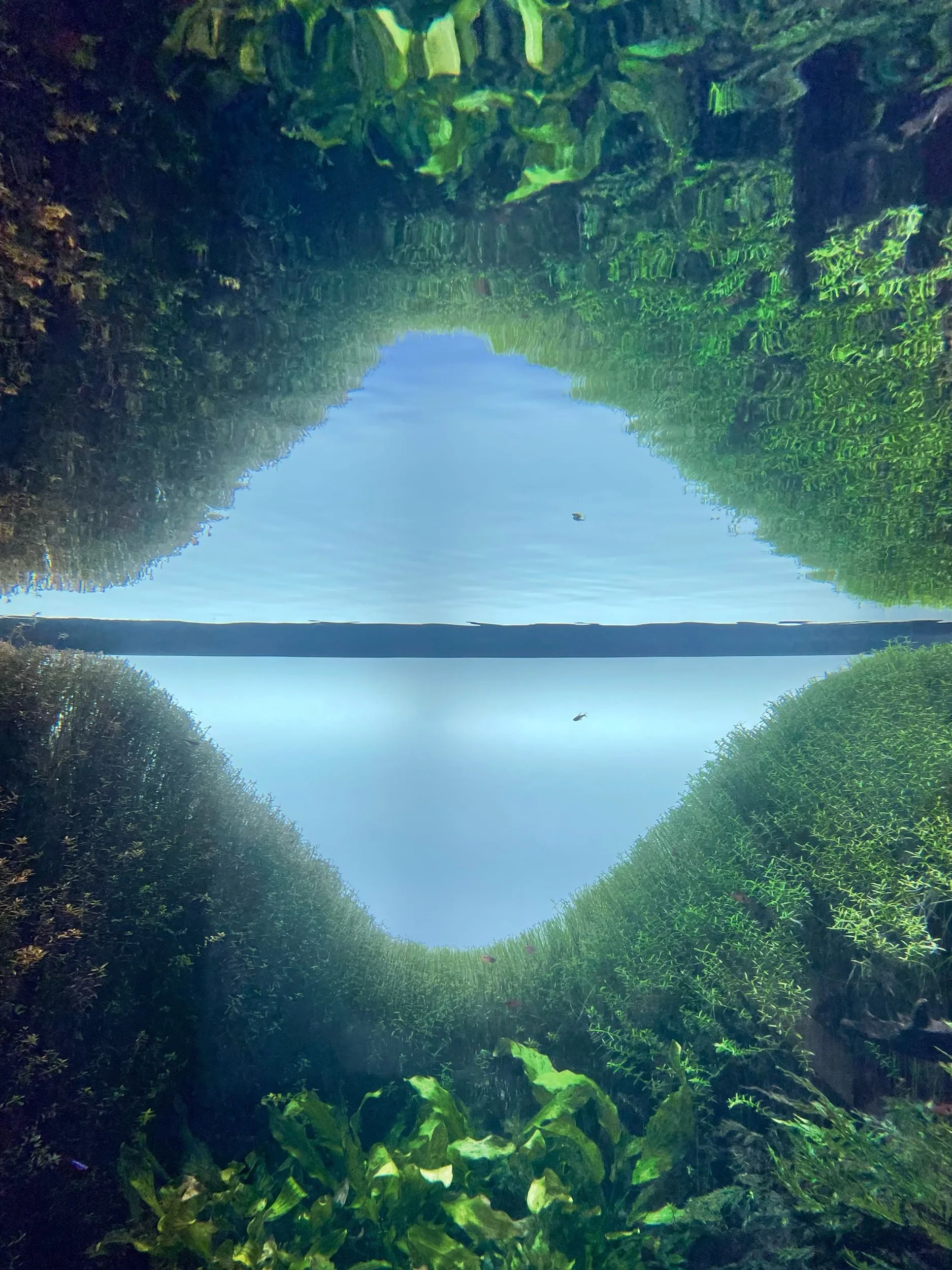 Aquarium of Lisbon, Portugal, December 2022