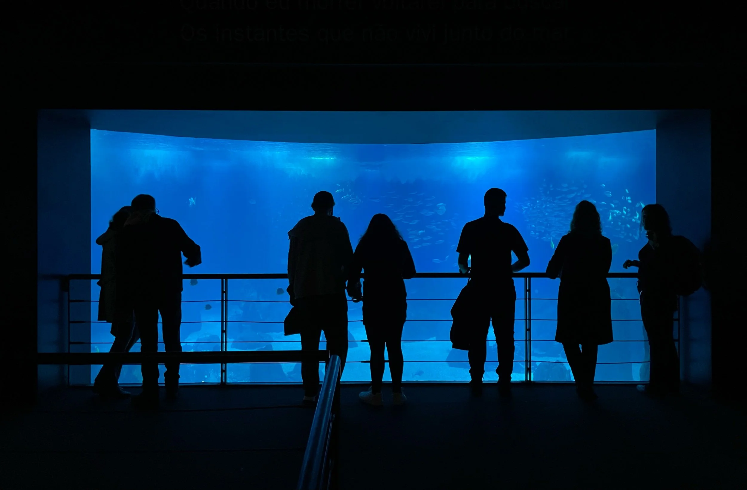 Aquarium of Lisbon, Portugal, December 2022