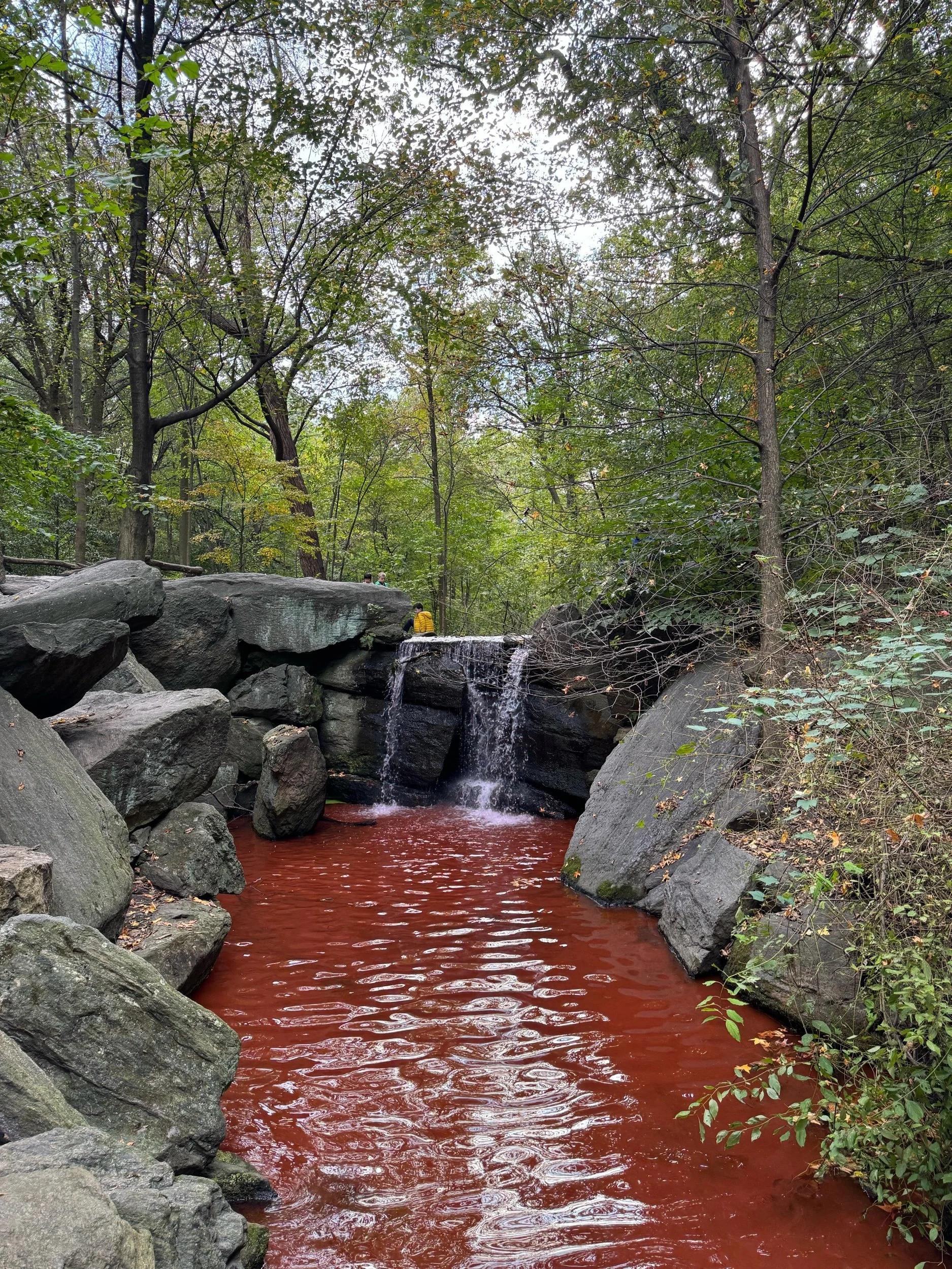 Central Park, NYC, October 2023