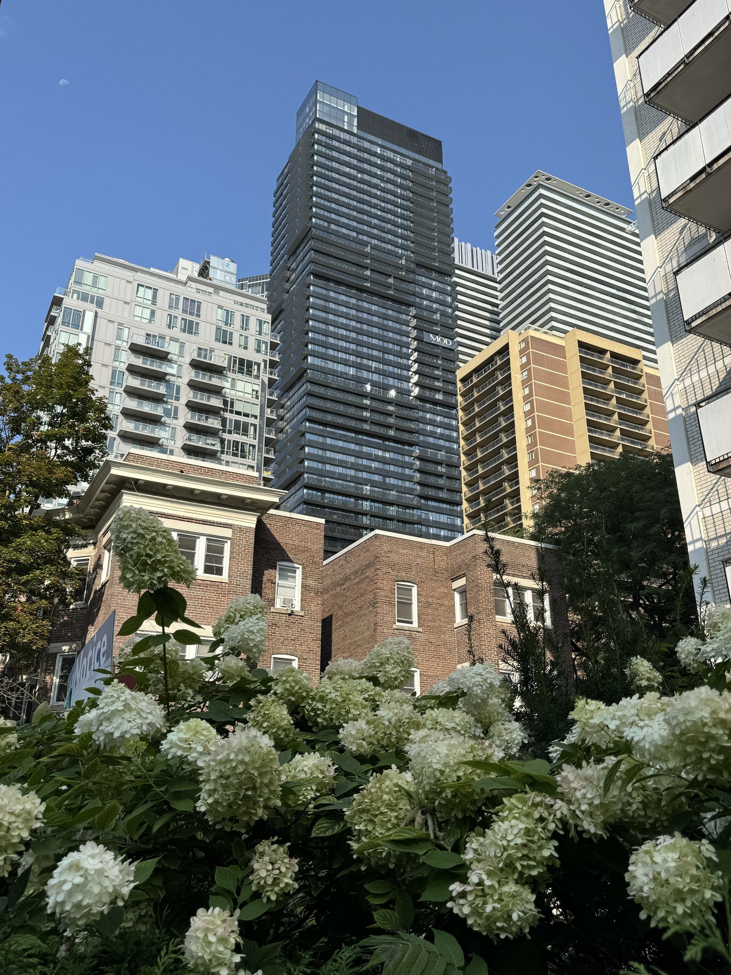 Toronto, August 2024