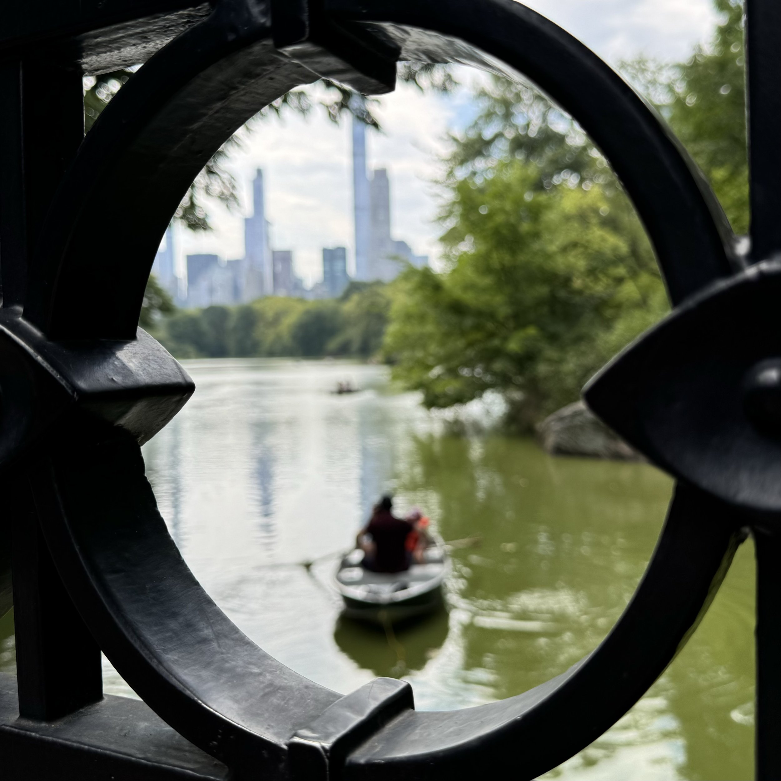 Central Park, NYC, August 2024