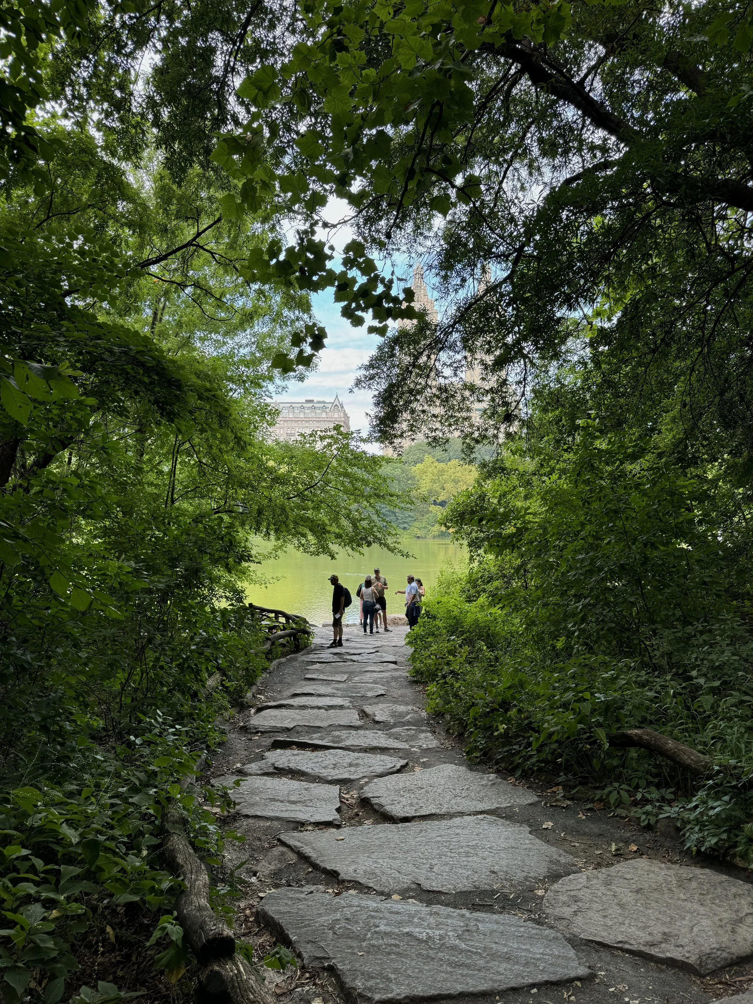 Central Park, NYC, August 2024