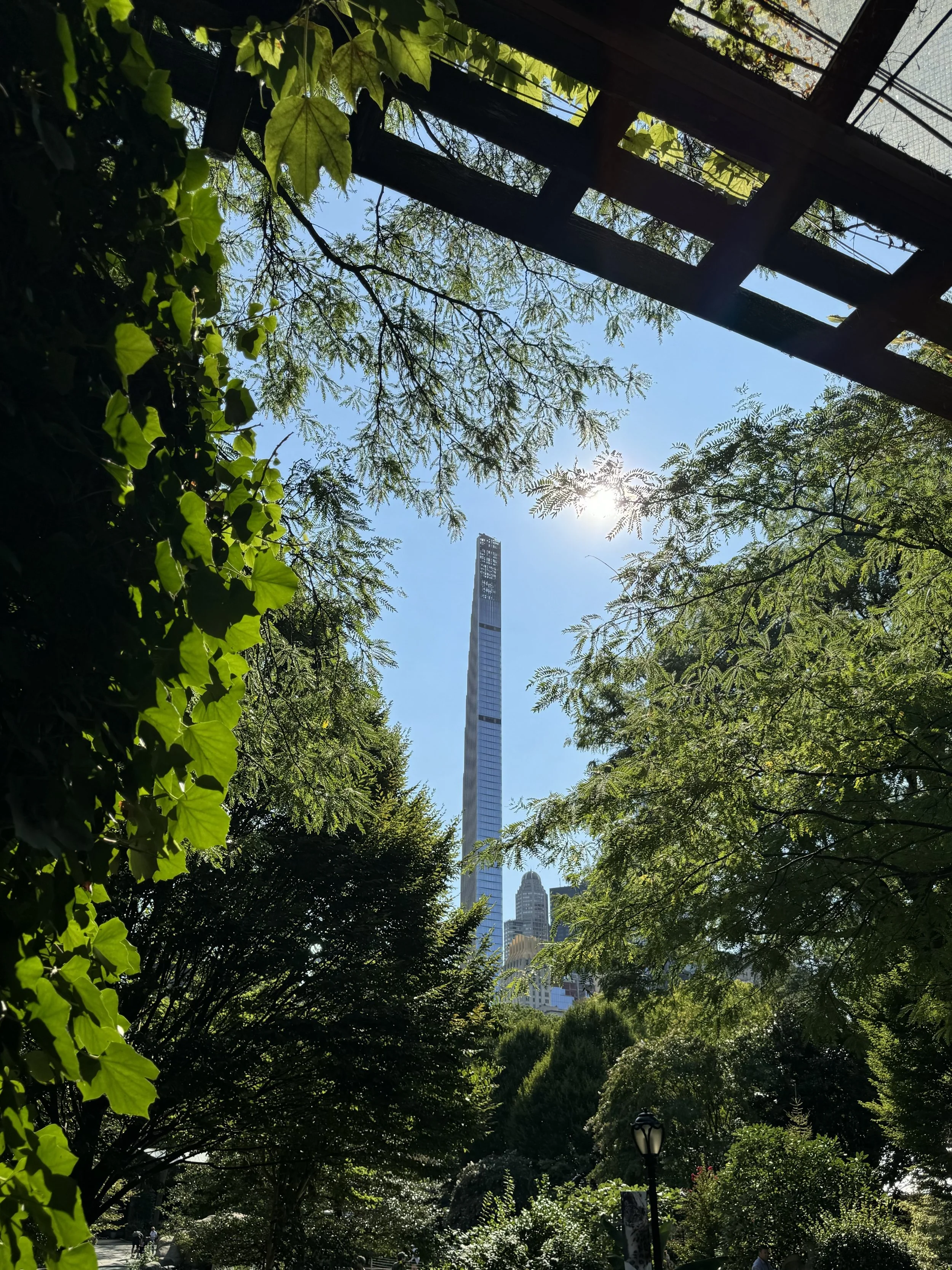 Central Park Zoo, NYC, September 2024