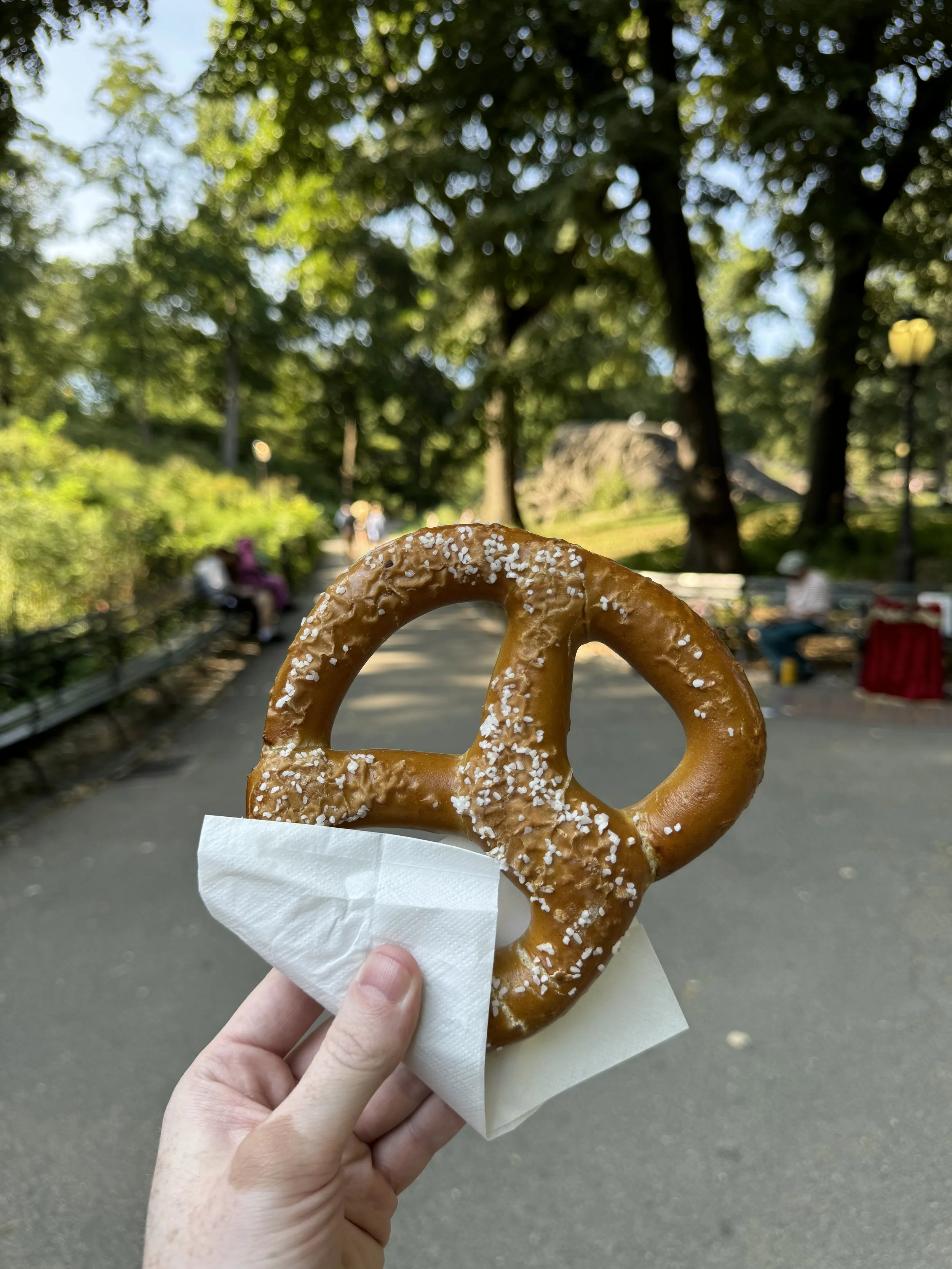 Central Park, NYC, September 2024