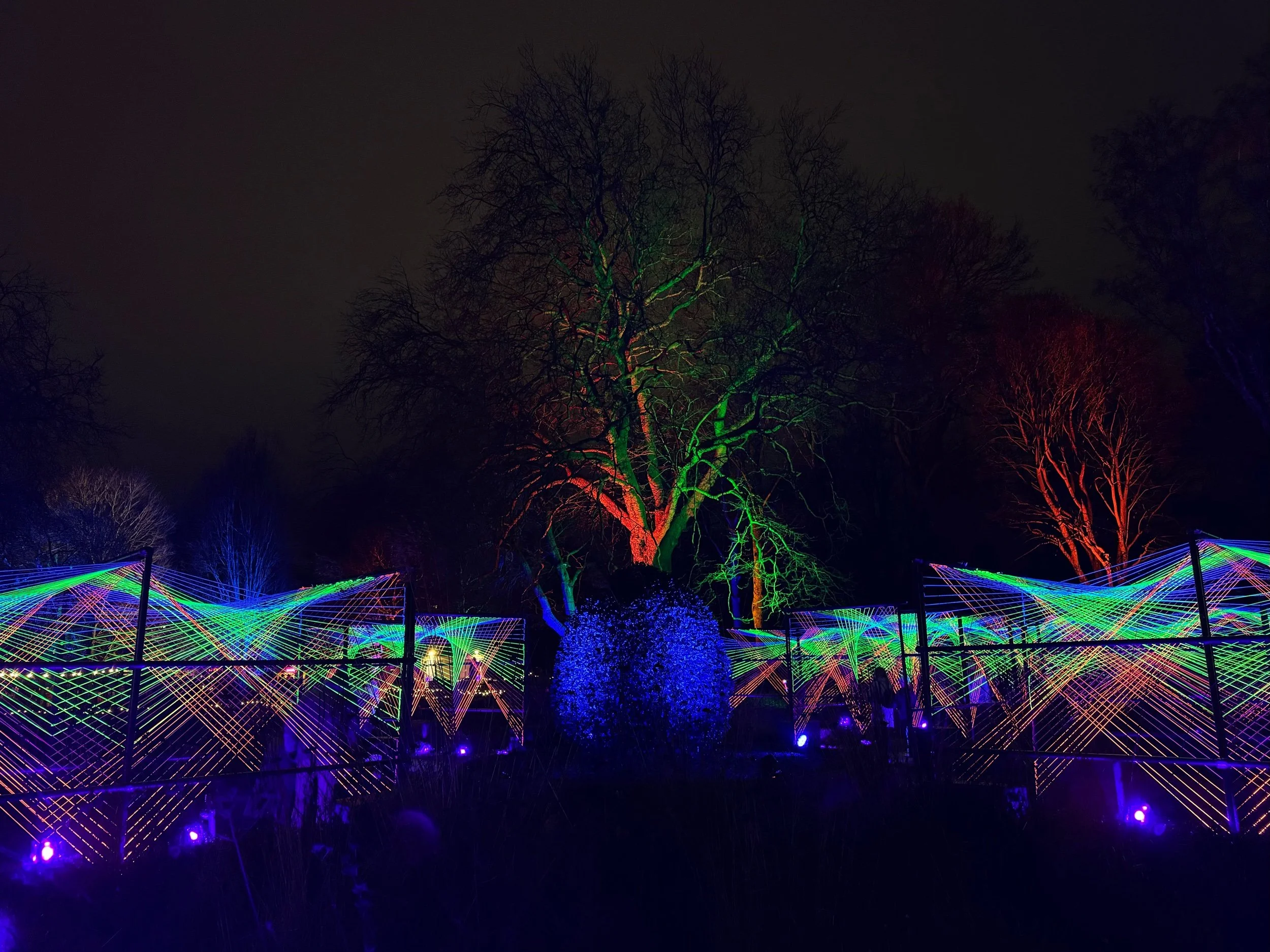 Cardiff Bute Park, December 2024