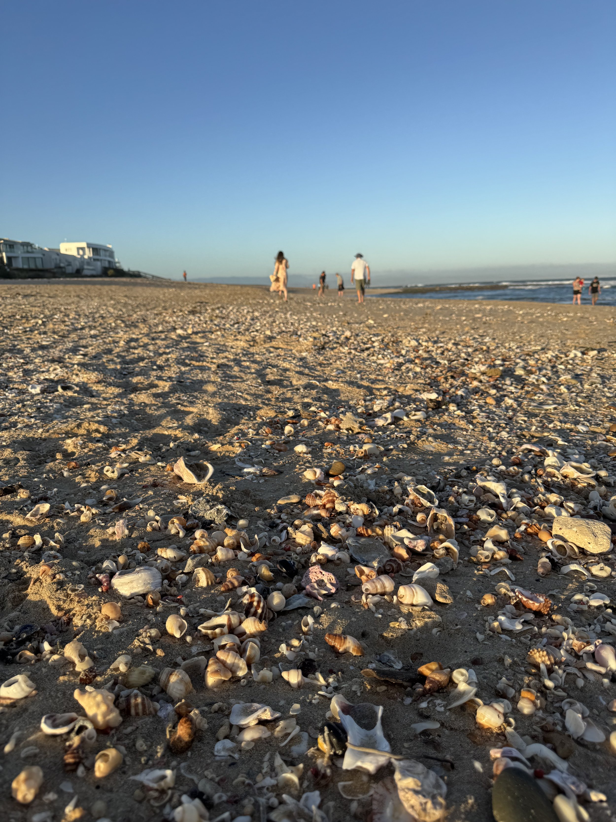 Jeffrey's Bay, South Africa, December 2024
