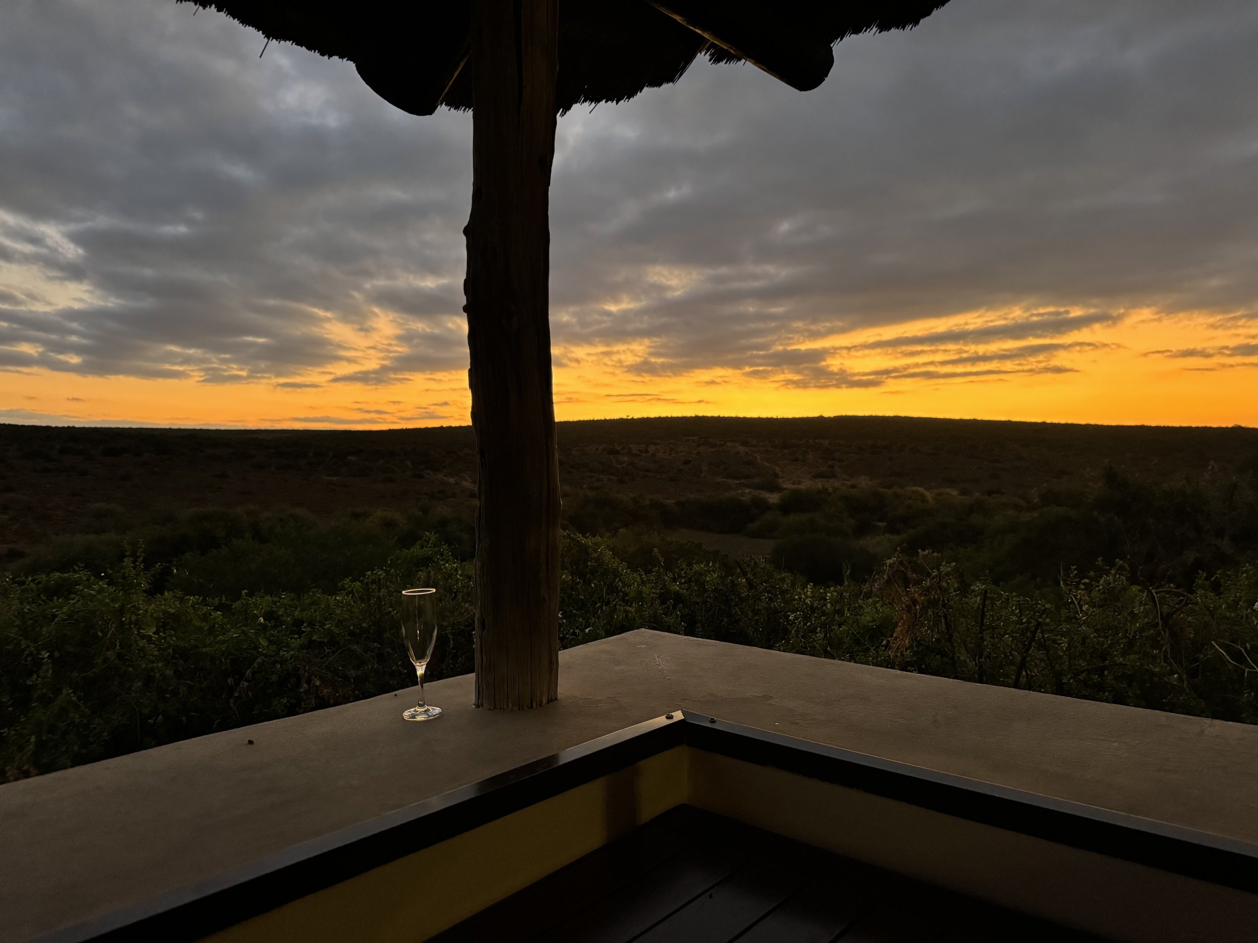 Addo Elephant National Park, South Africa, January 2025