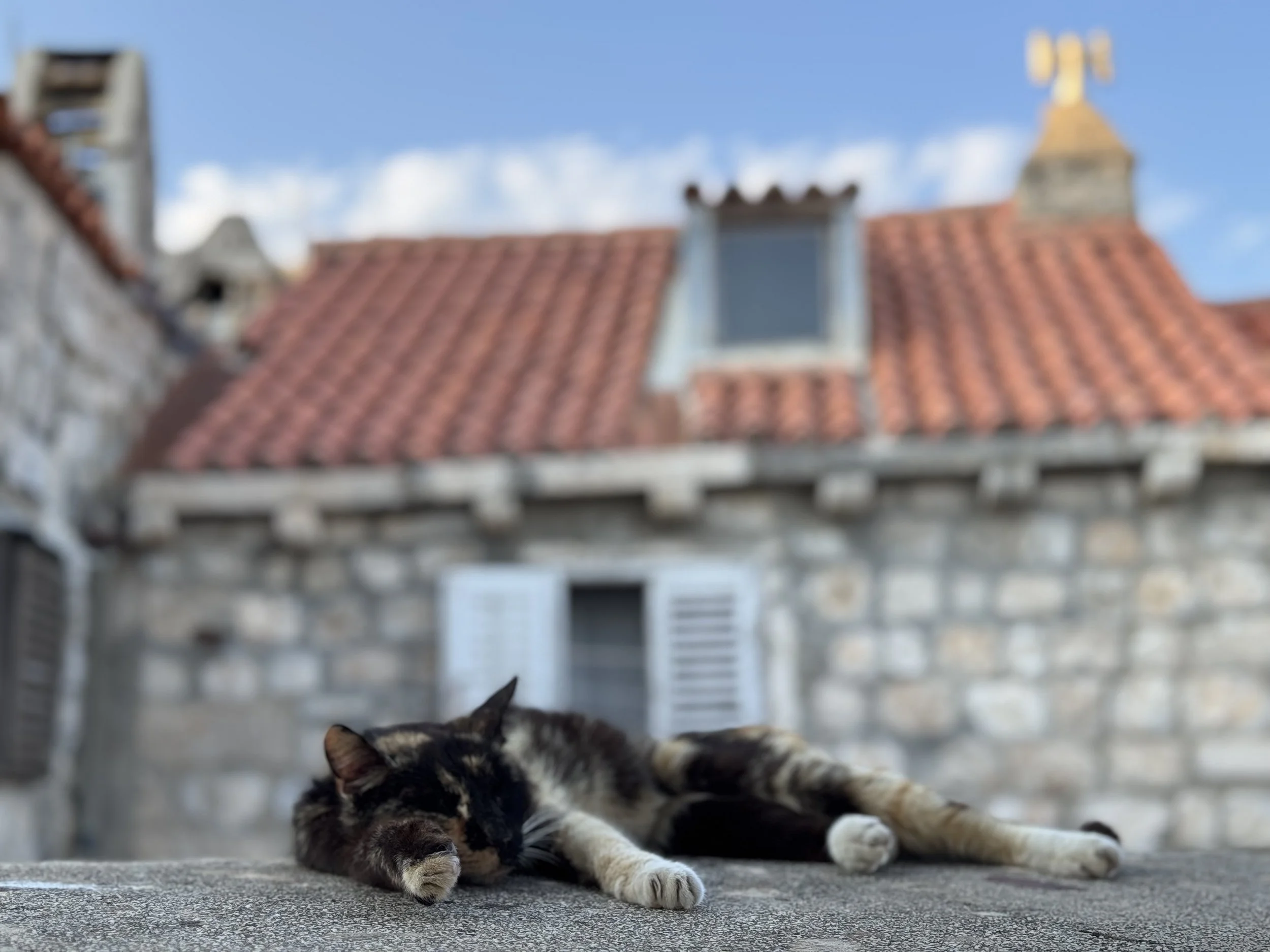 City Walls, Dubrovnik, Croatia, July 2025