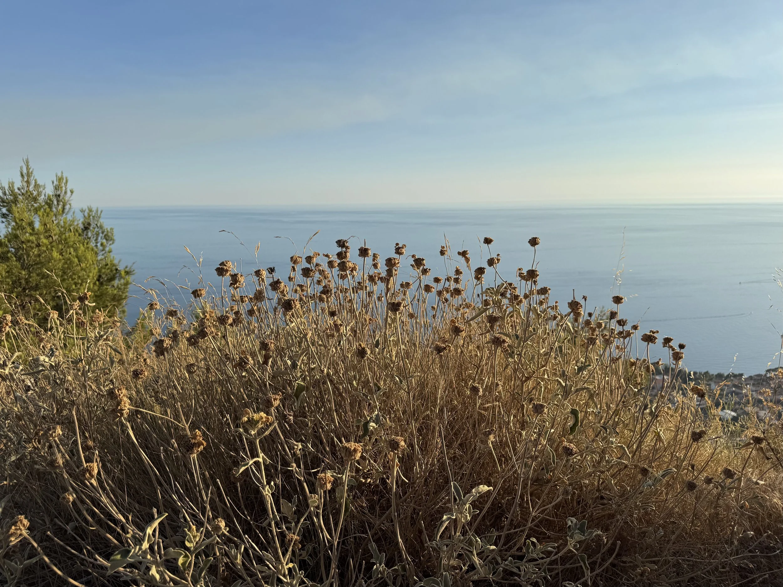 View from Mount Srđ, Dubrovnik, Croatia, July 2025