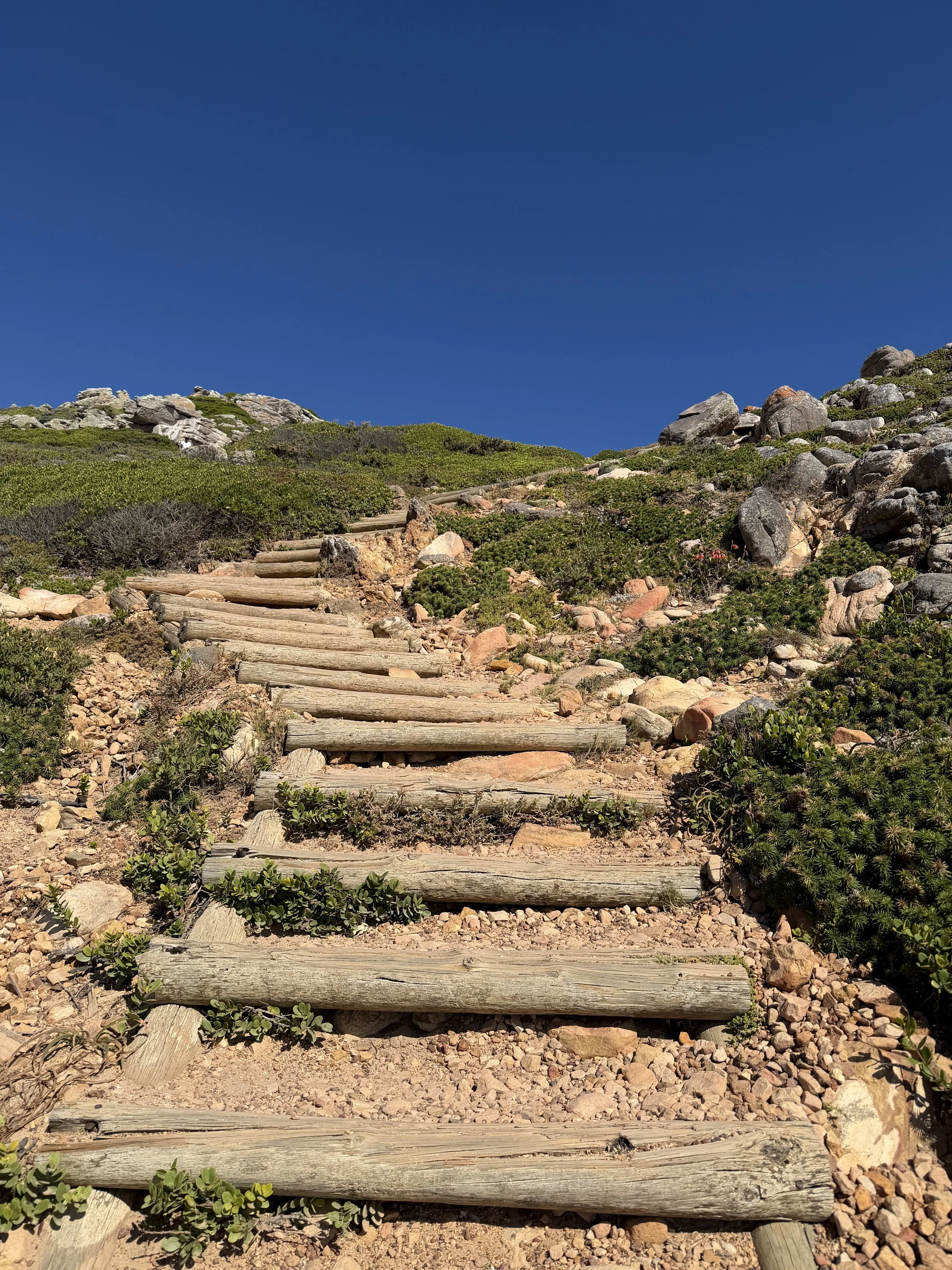 Cape of Good Hope, South Africa - December 2025