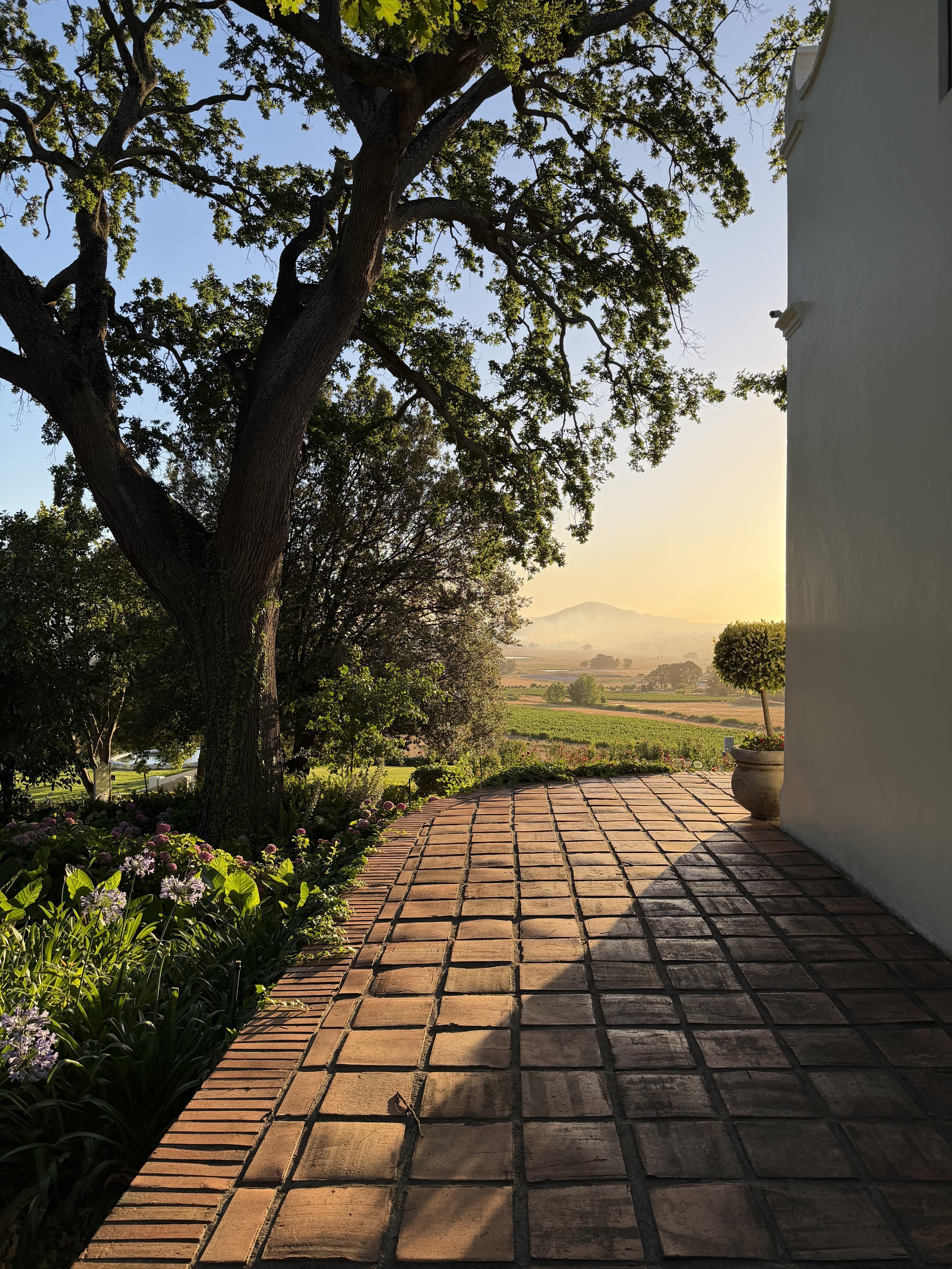 Diamant Estate, South Africa - December 2025