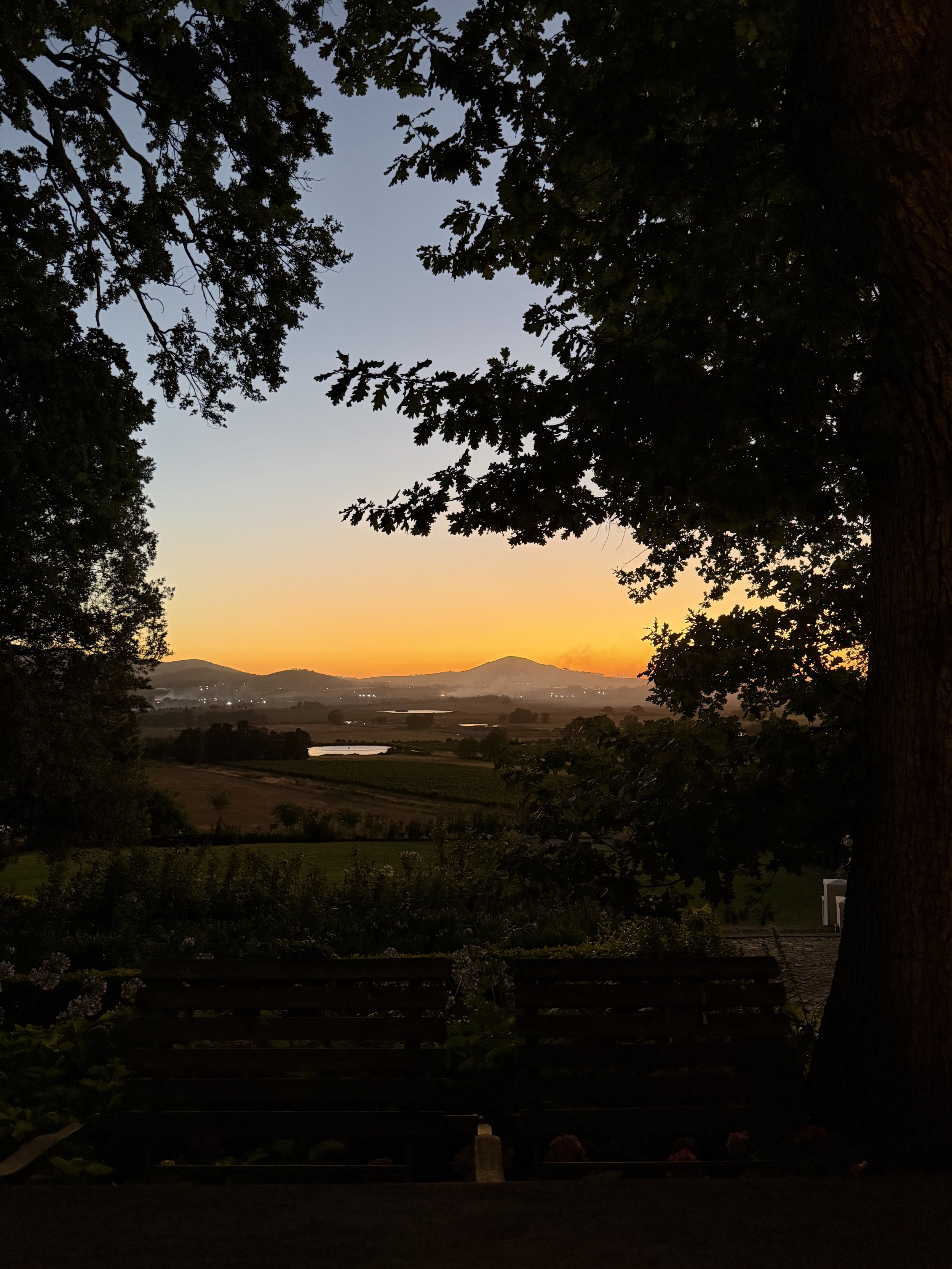 Diamant Estate, South Africa - December 2025