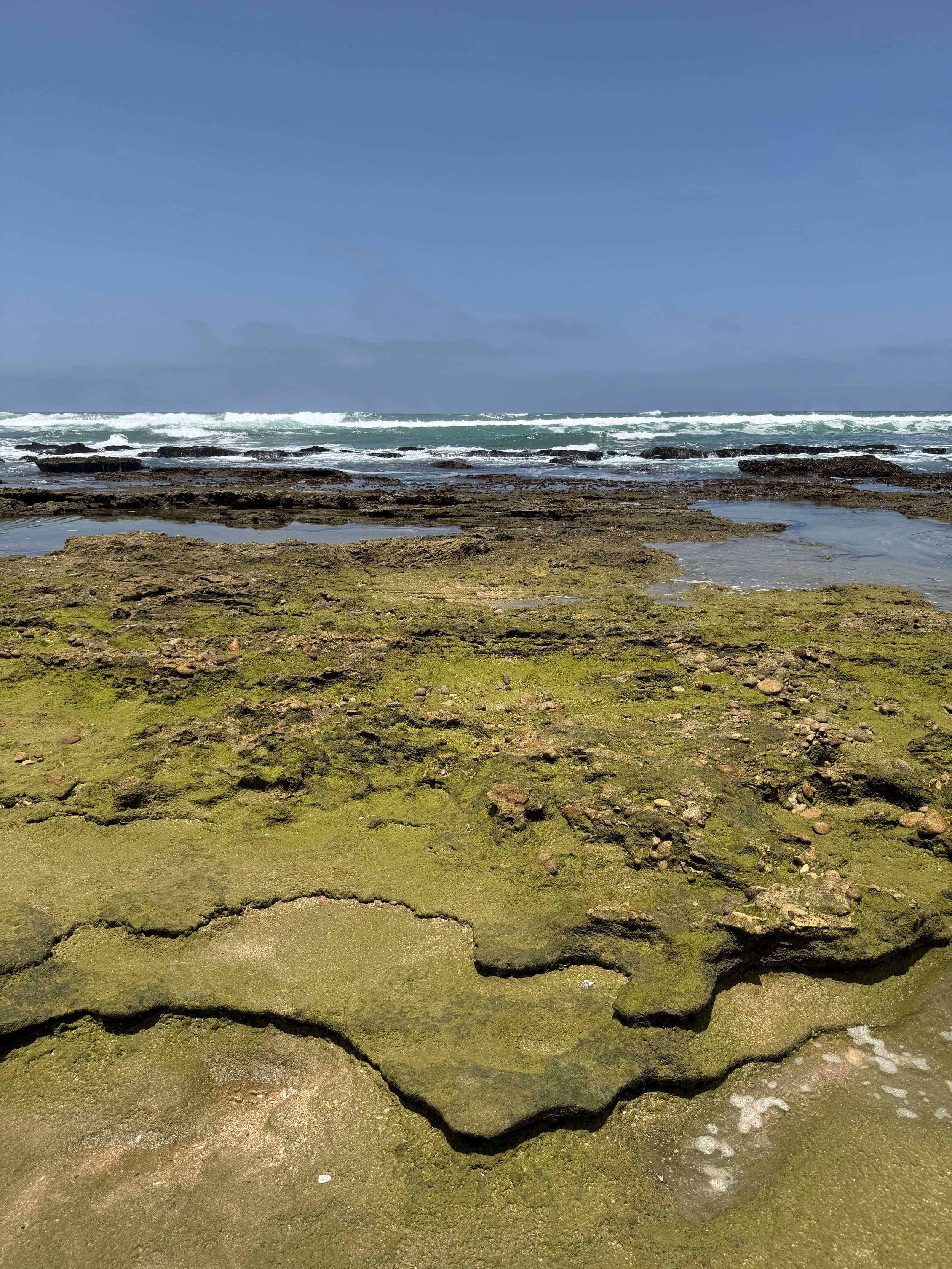 Seeplas Guest House Beach, South Africa - December 2025