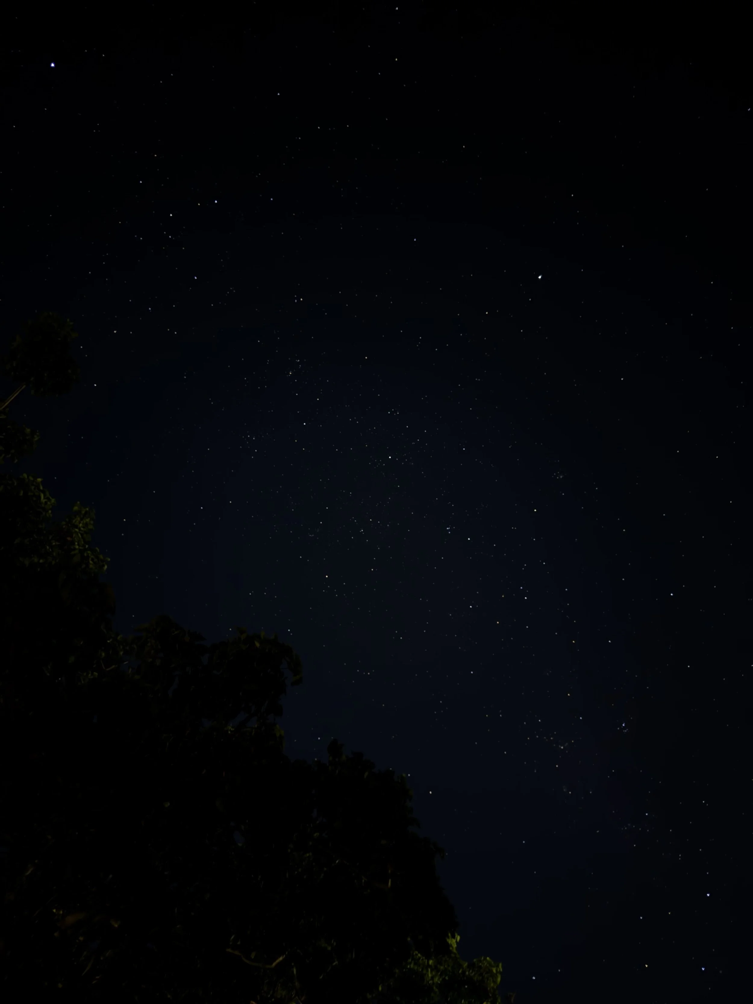 Jeffreys Bay, South Africa - December 2025