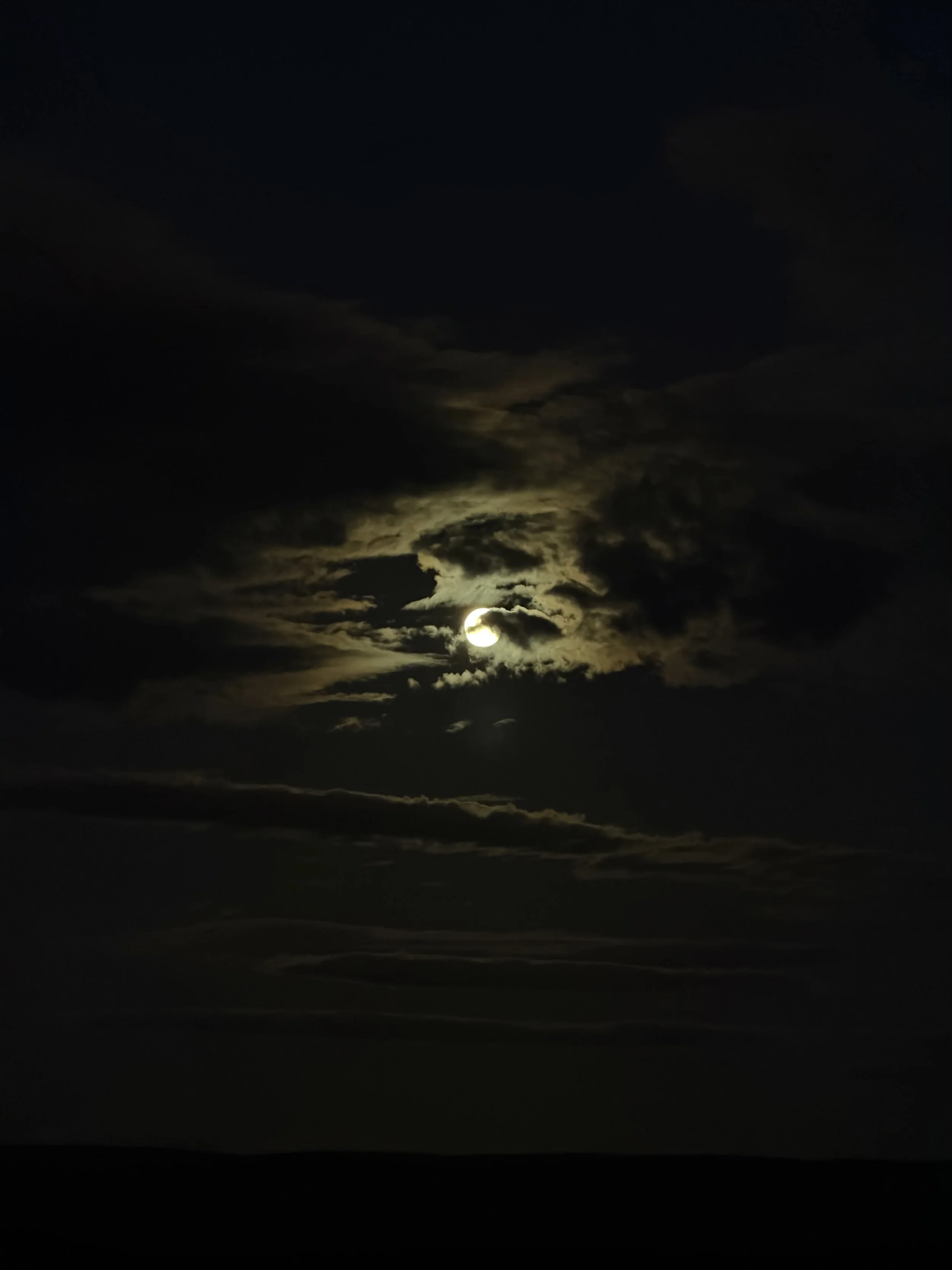 Addo Elephant National Park, South Africa - January 2026