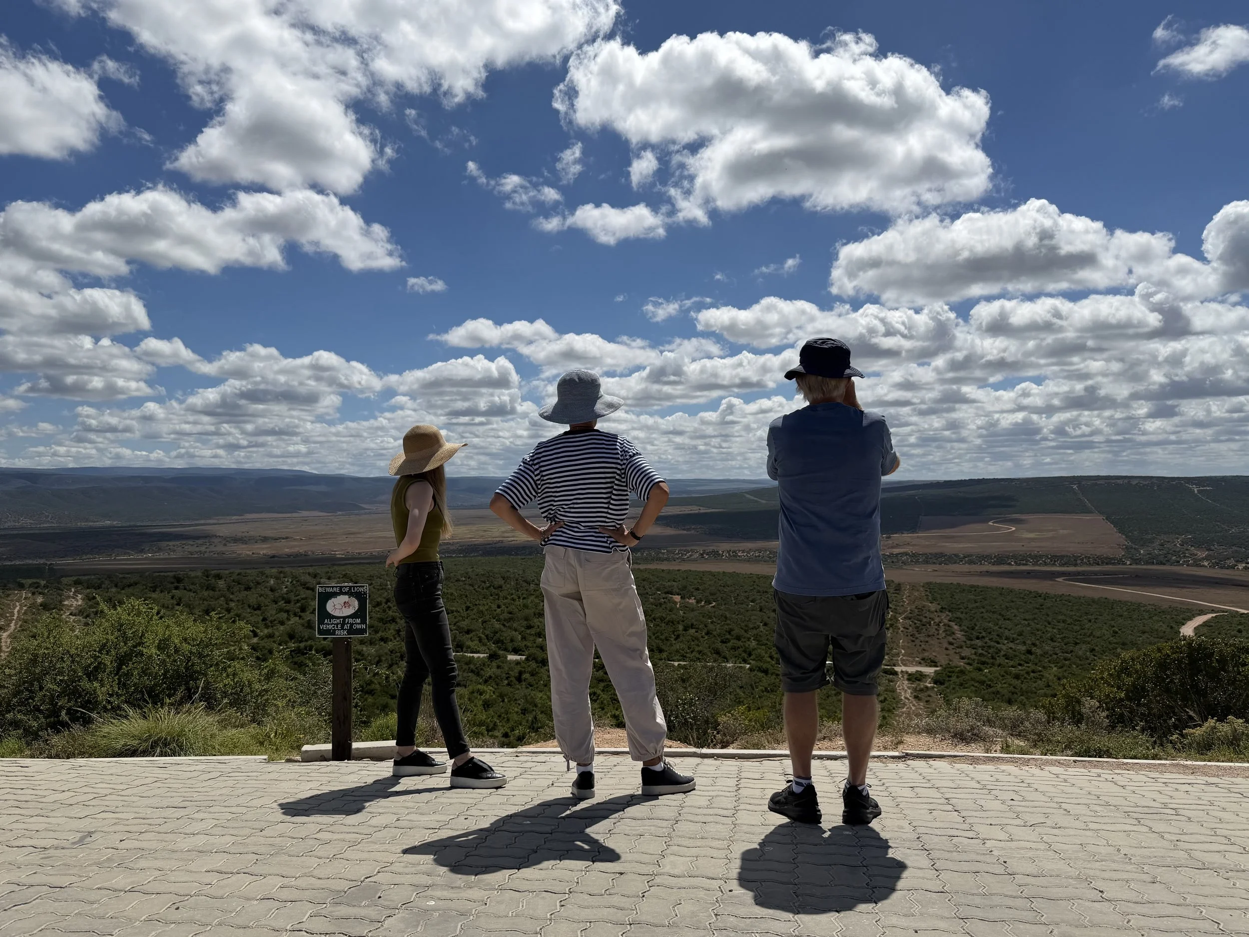 Addo Elephant National Park, South Africa - January 2026