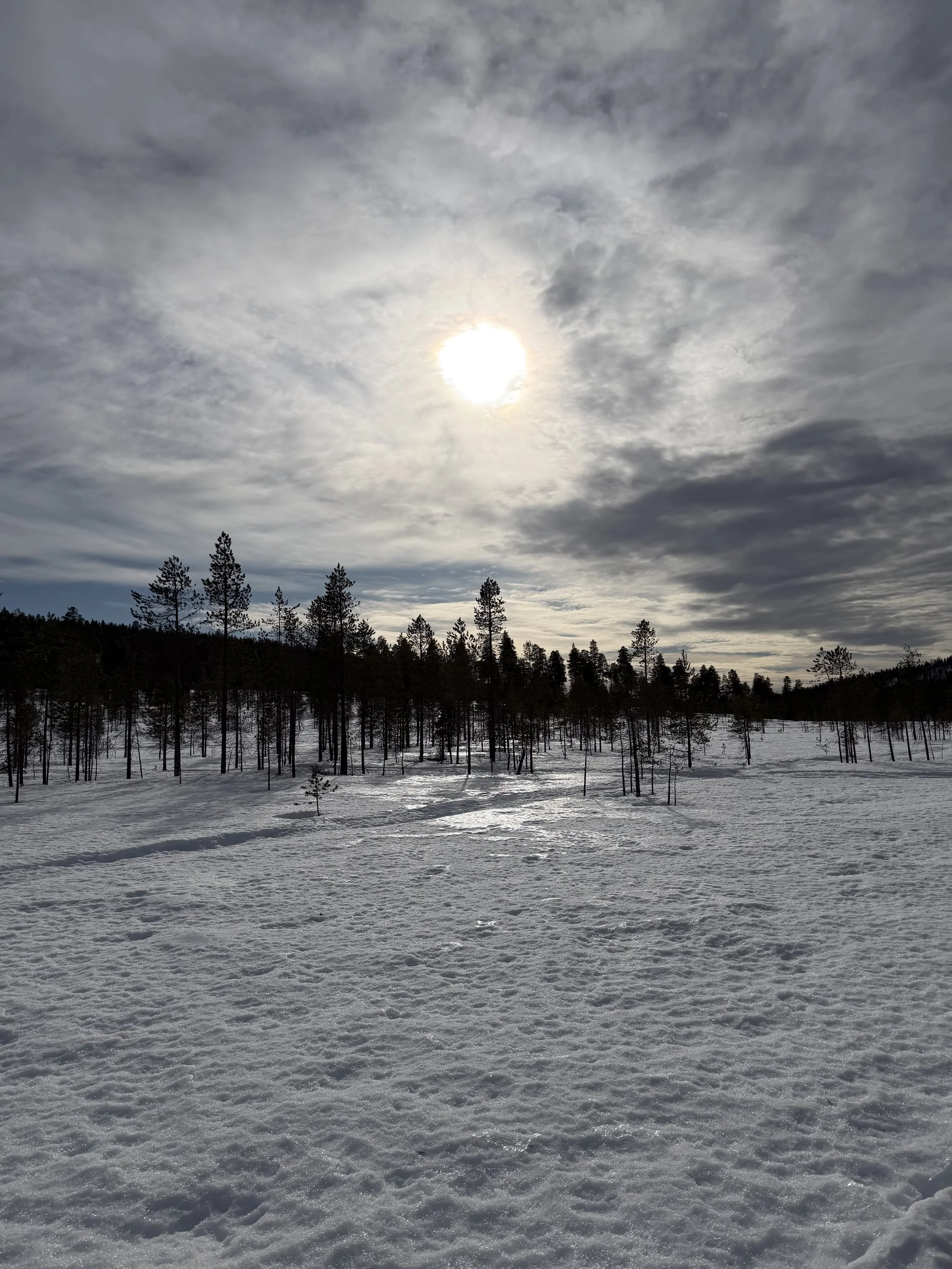 Aurora Village, Ivalo, Lapland, Finland - March 2026