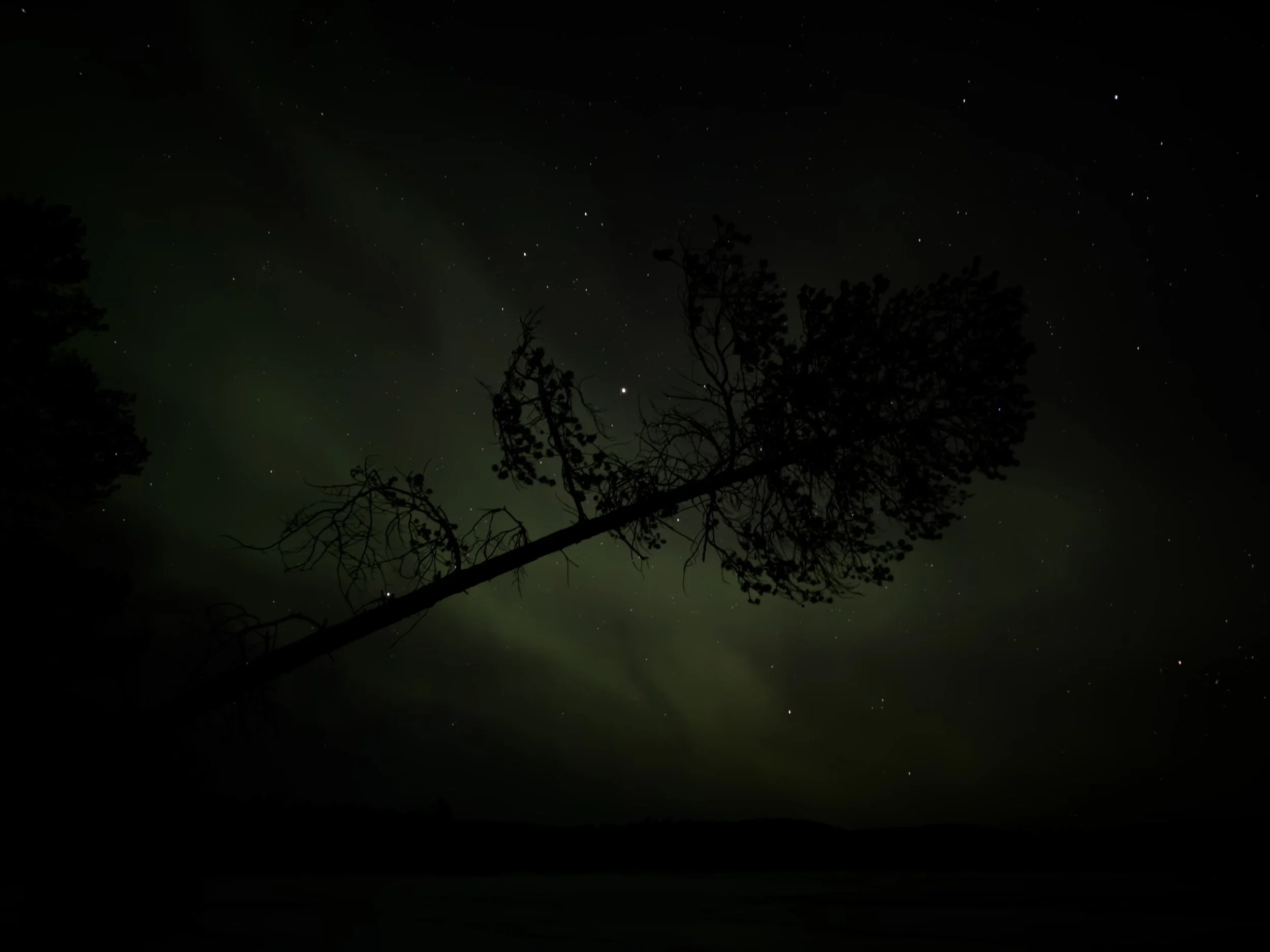 Aurora Village, Ivalo, Lapland, Finland - March 2026