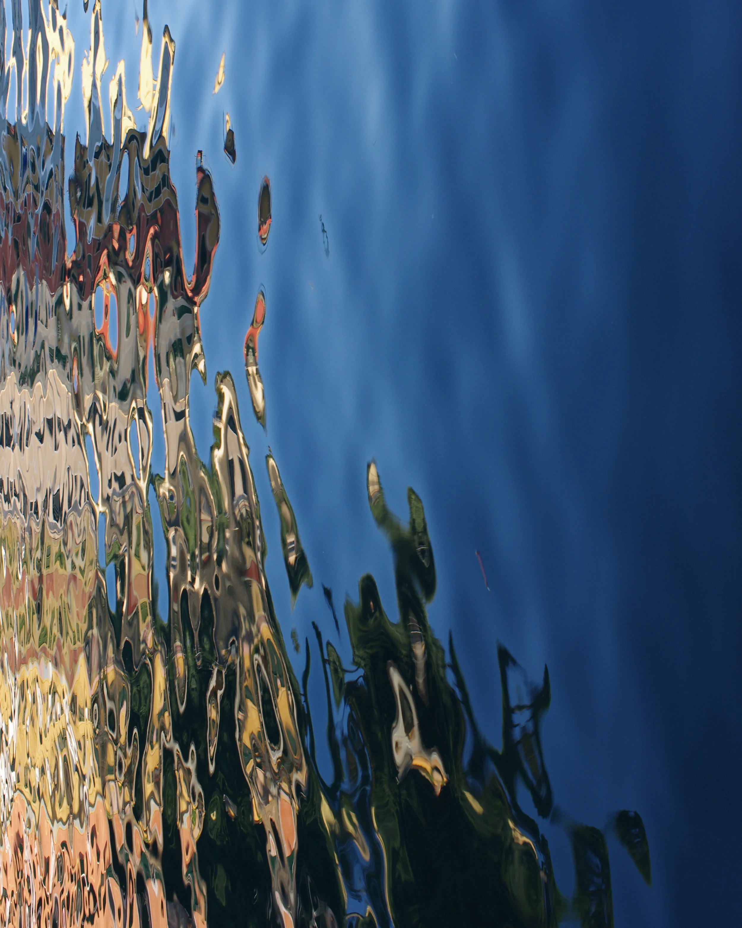 Portofino #3