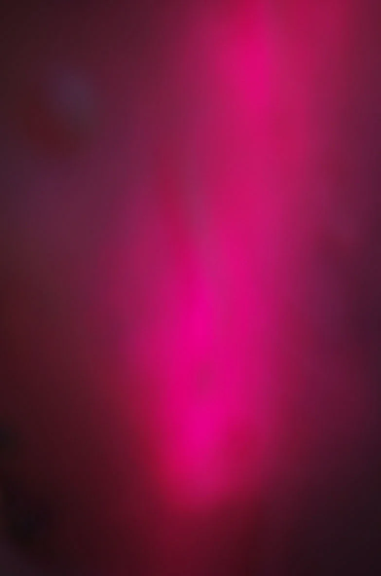 Fuschia #2