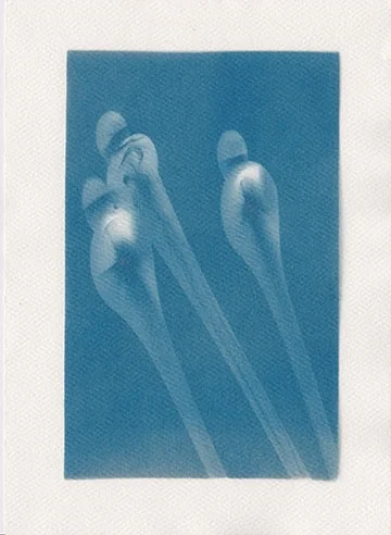 Cyanotype #1