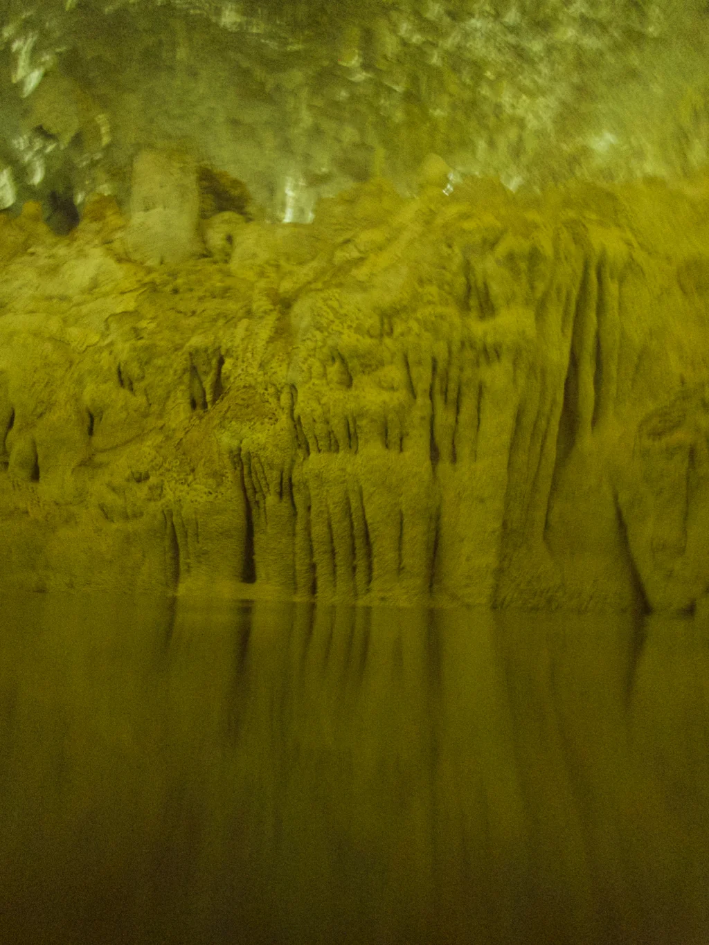 Cathedral 3