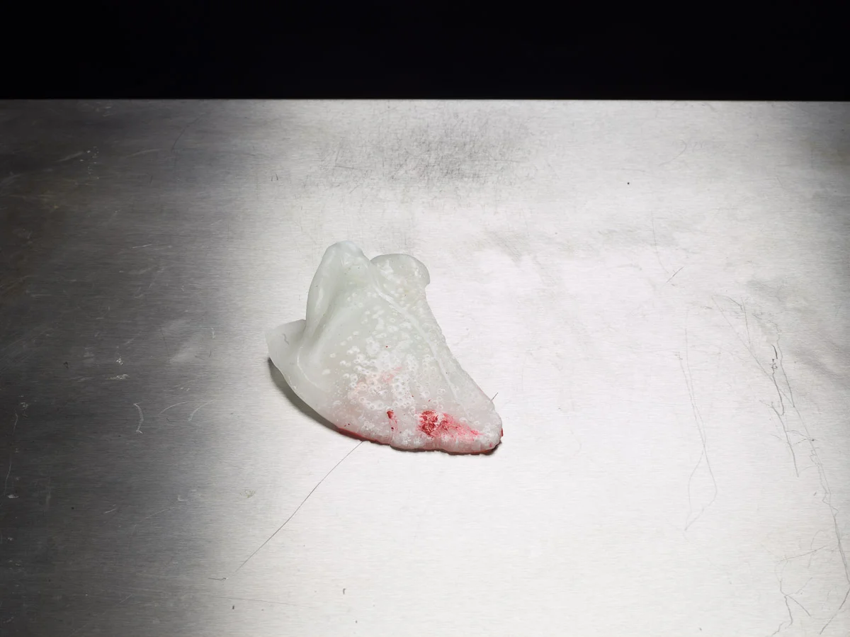BonesNonWork2015031600164.jpg